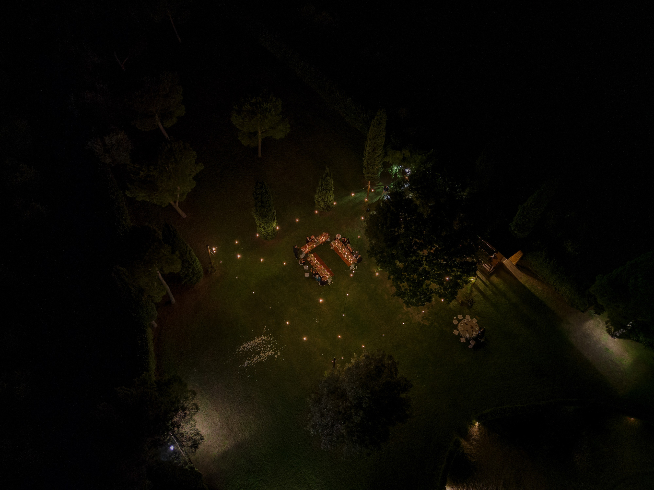 Dom&Ally. Весільний фотограф Вікторія Саврук