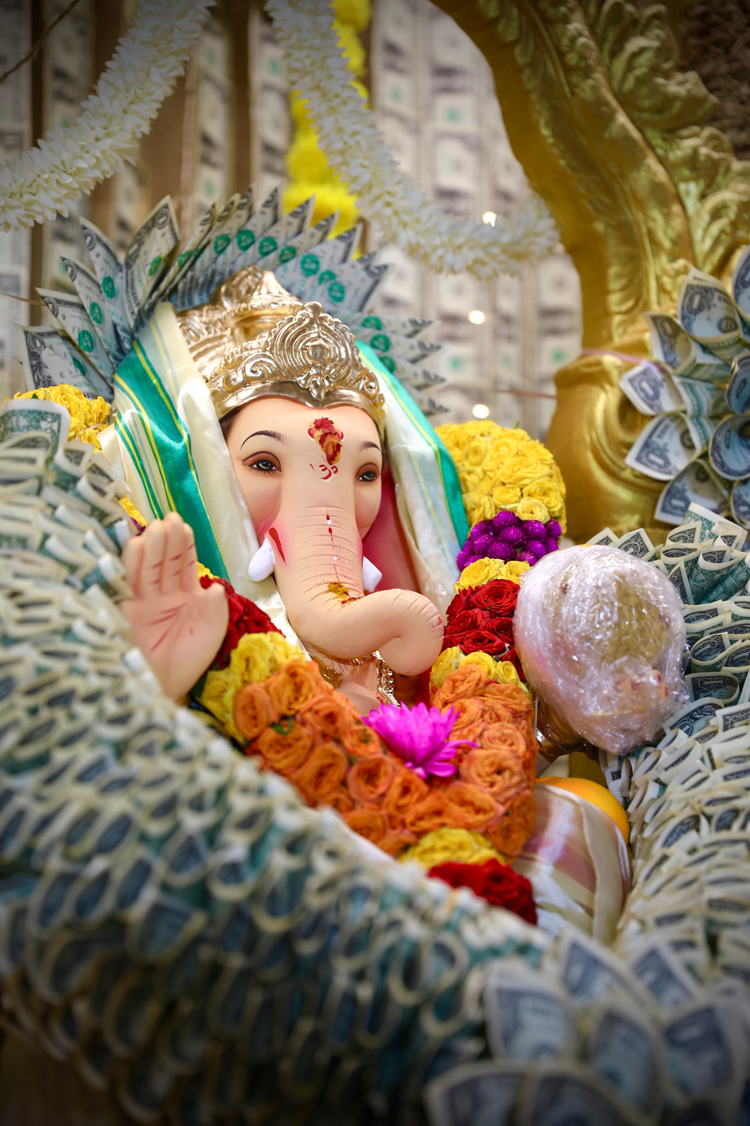 Event. AP Lens Photography | Newborn, Maternity, Milestone & Family Photographer Little Elm TX