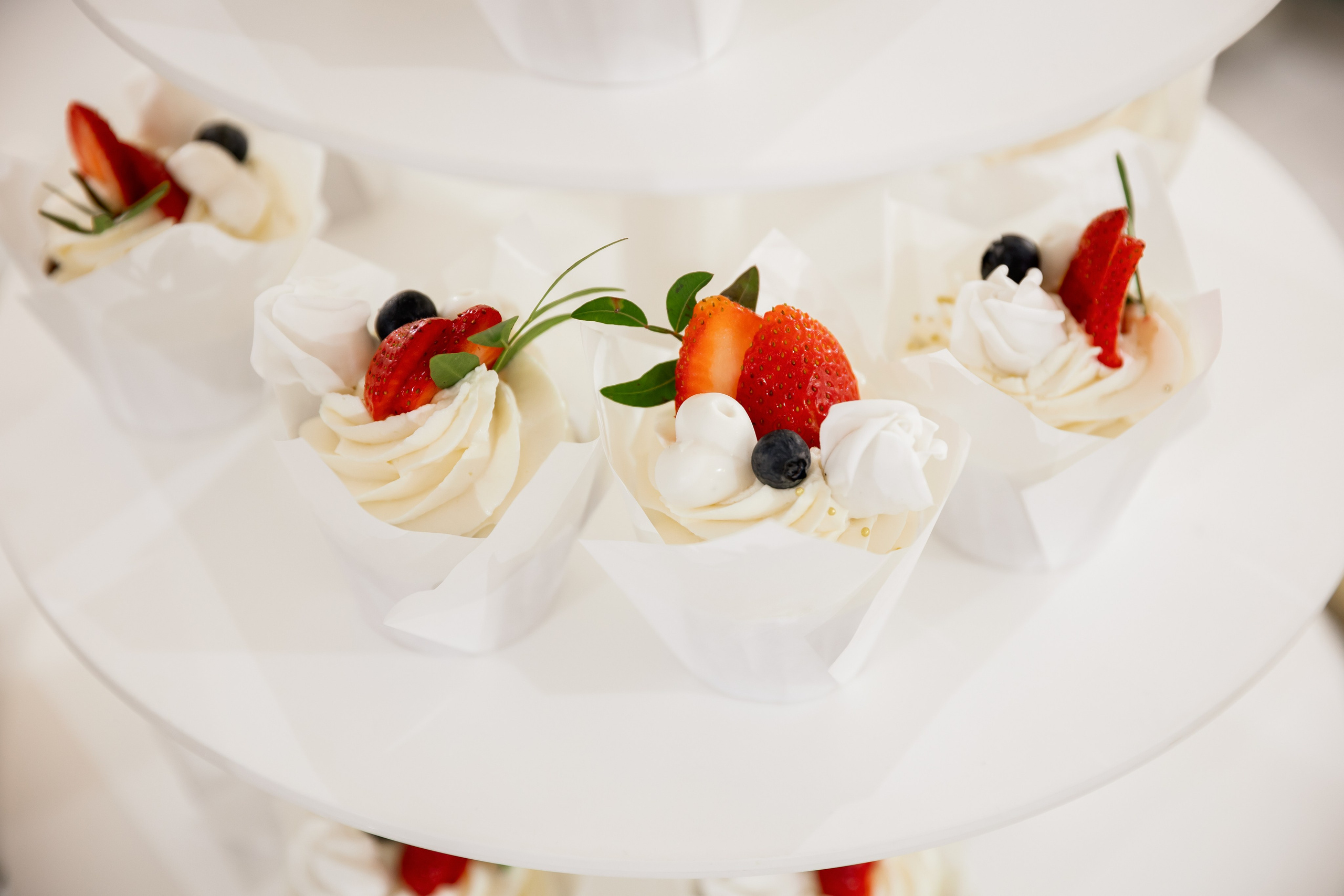 Irina Ermak Hudson Valley wedding photographer. Irina Ermak wedding photographer in New York