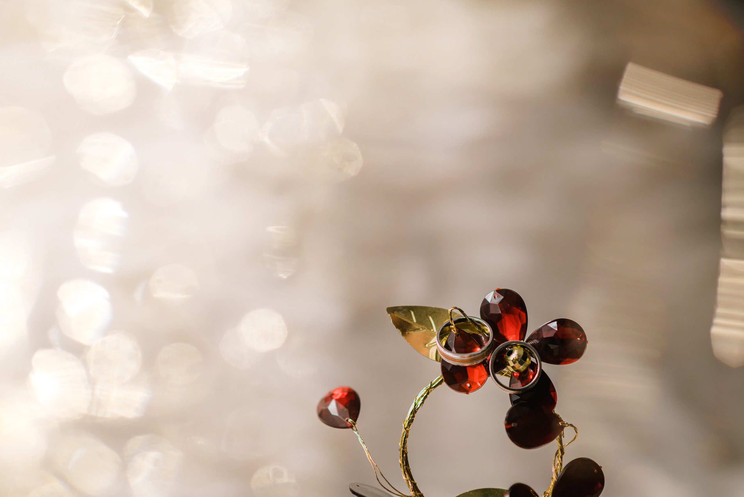 Ioana & Ionut. Giani Maftei