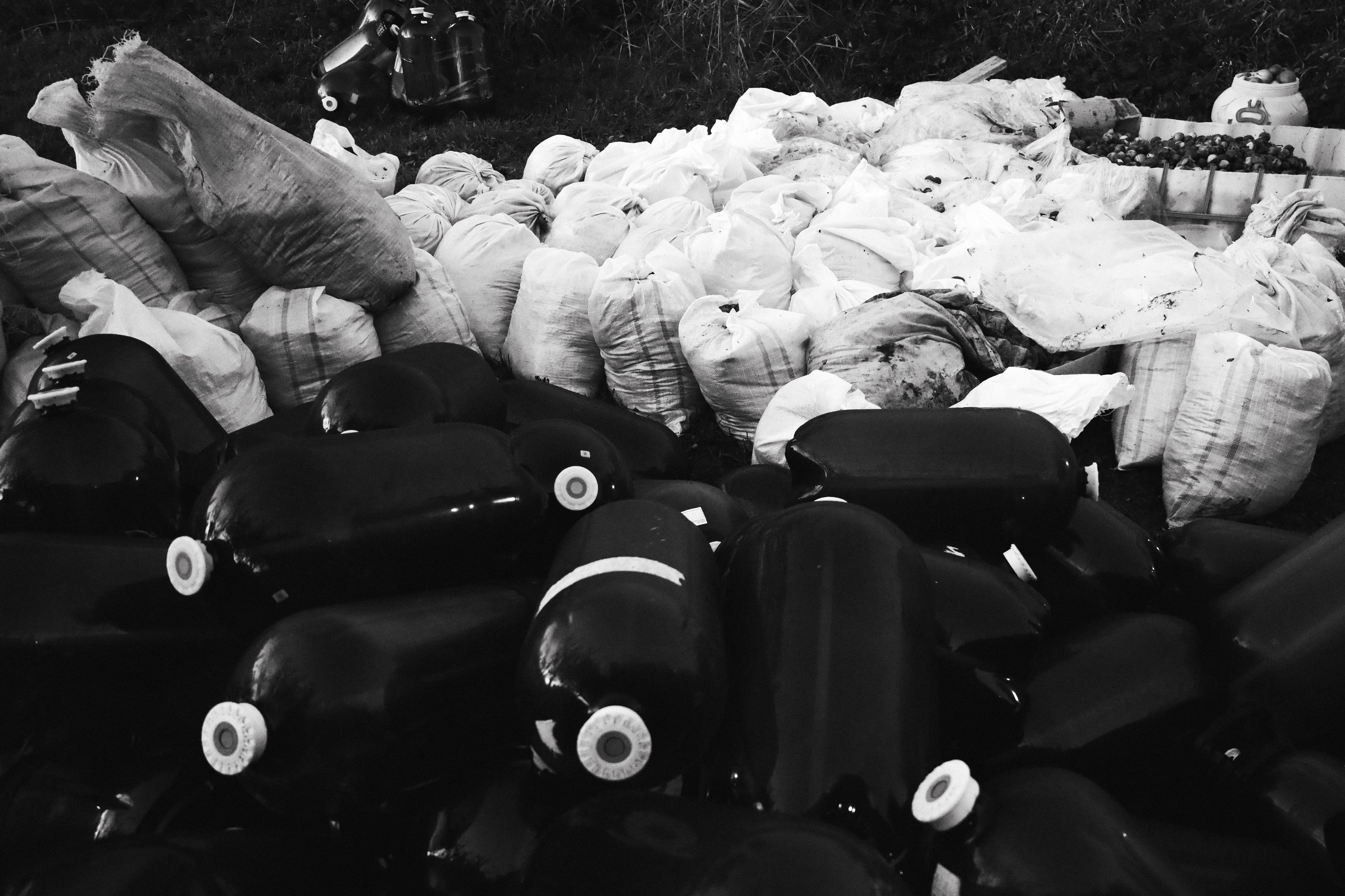 Factory reportage (hand-crafted cider). Asmikiam