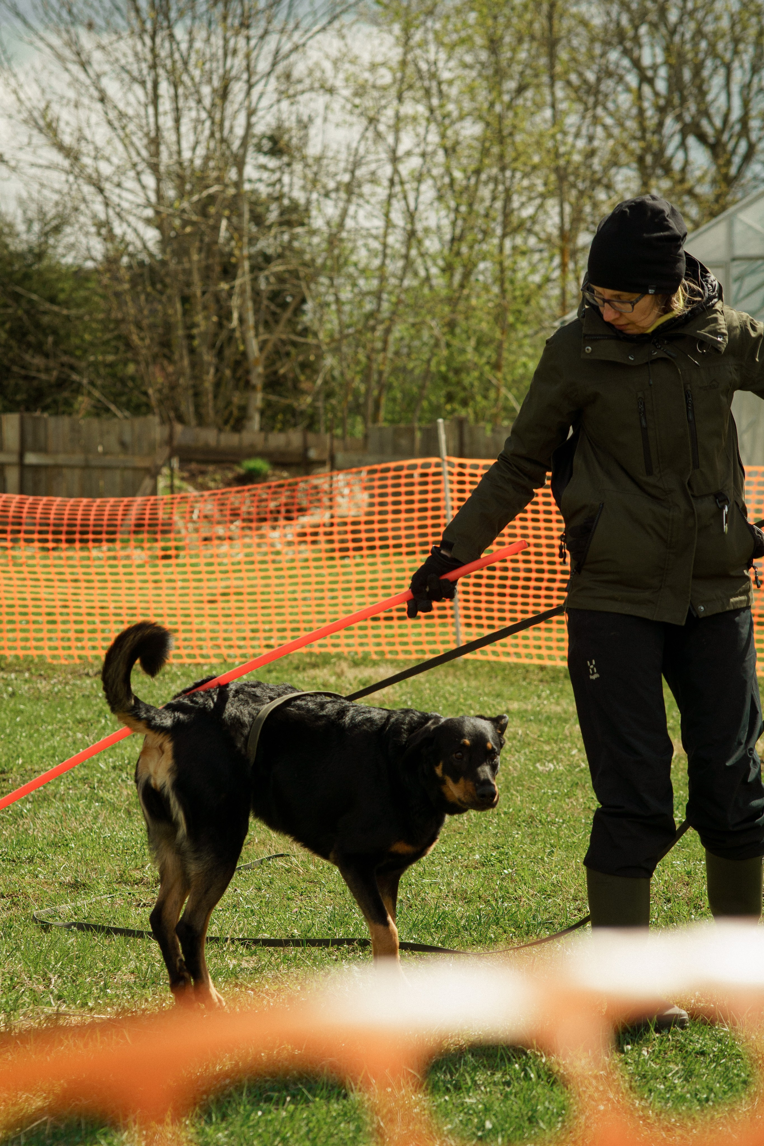 Herding Days, 26 apr. 2025. Kat Laisaar — Pet photographer in Tallinn