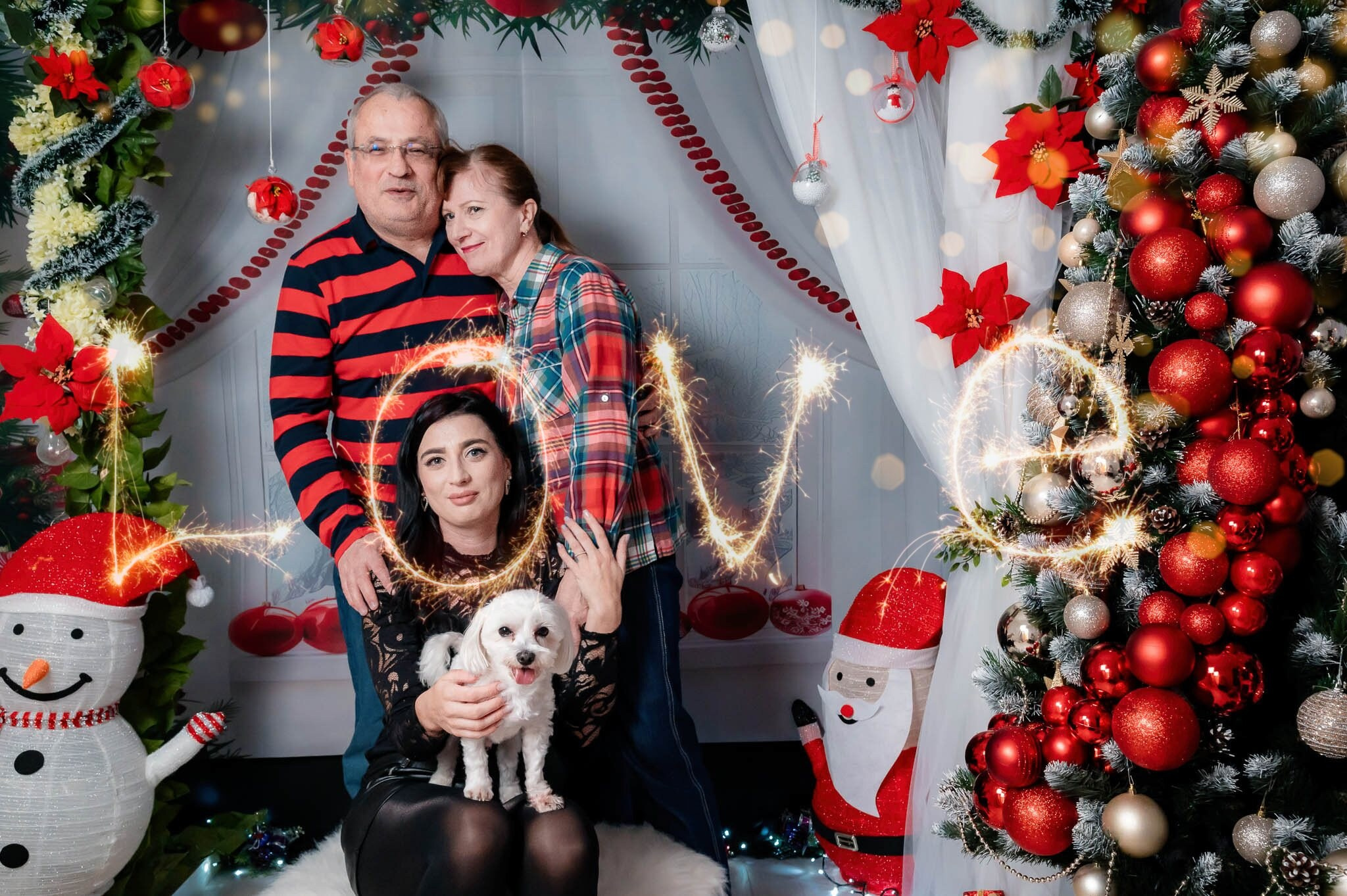 Sedinta Craciun Alexandrina