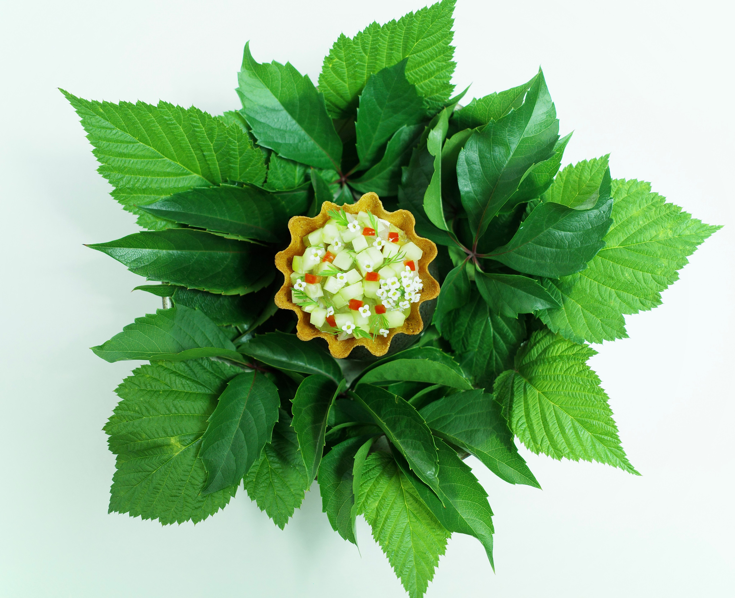 Mackerel tartlet, lime & pepper cremetta.