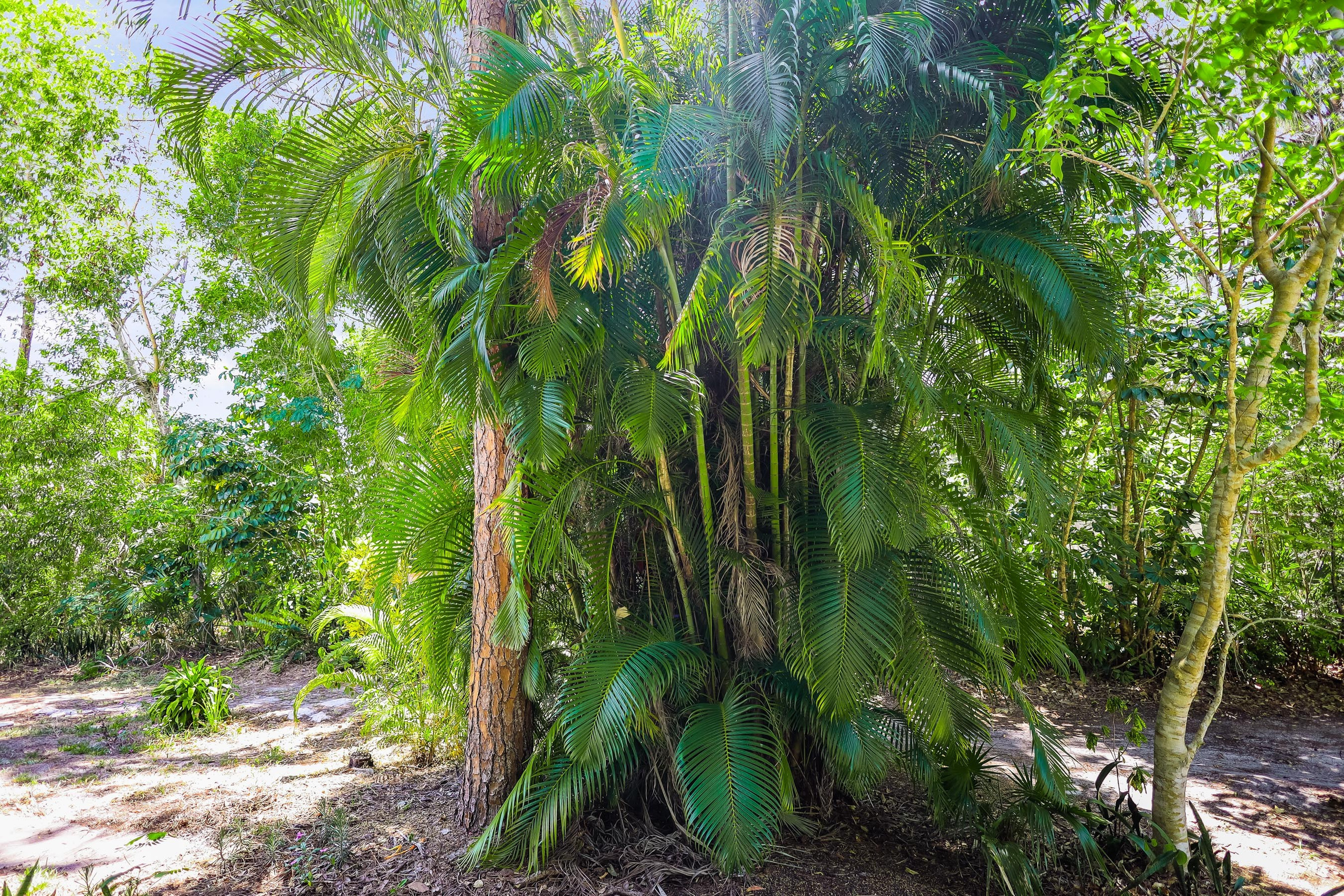 Sample D. Out and About 239