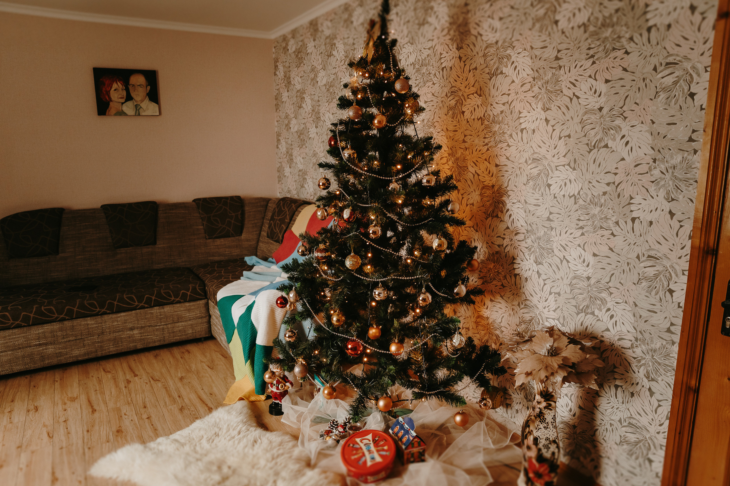 FEEDBACK. Fulga Photographer