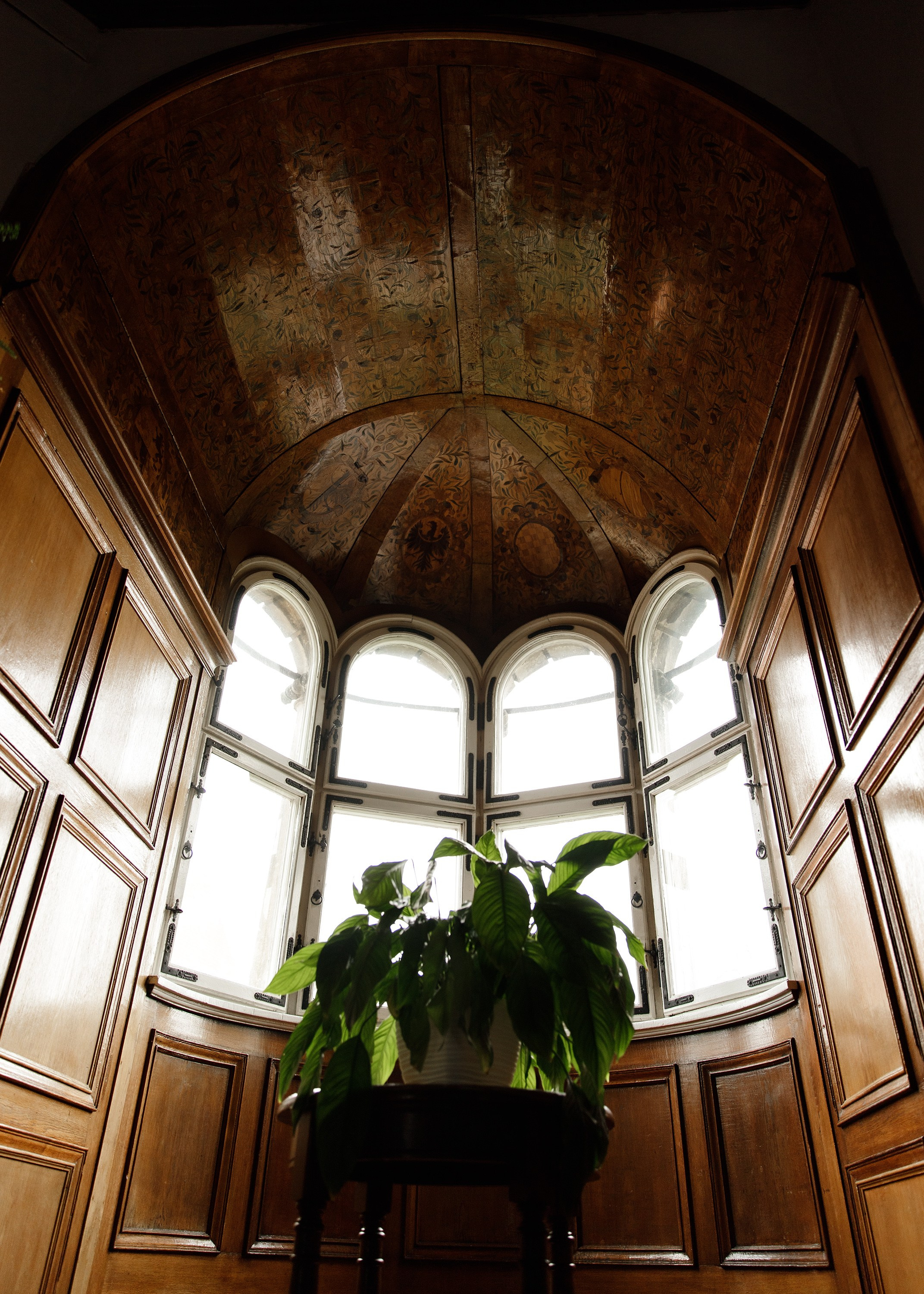 Oleśnica castle. Kaja | fotograf psów we Wrocławiu