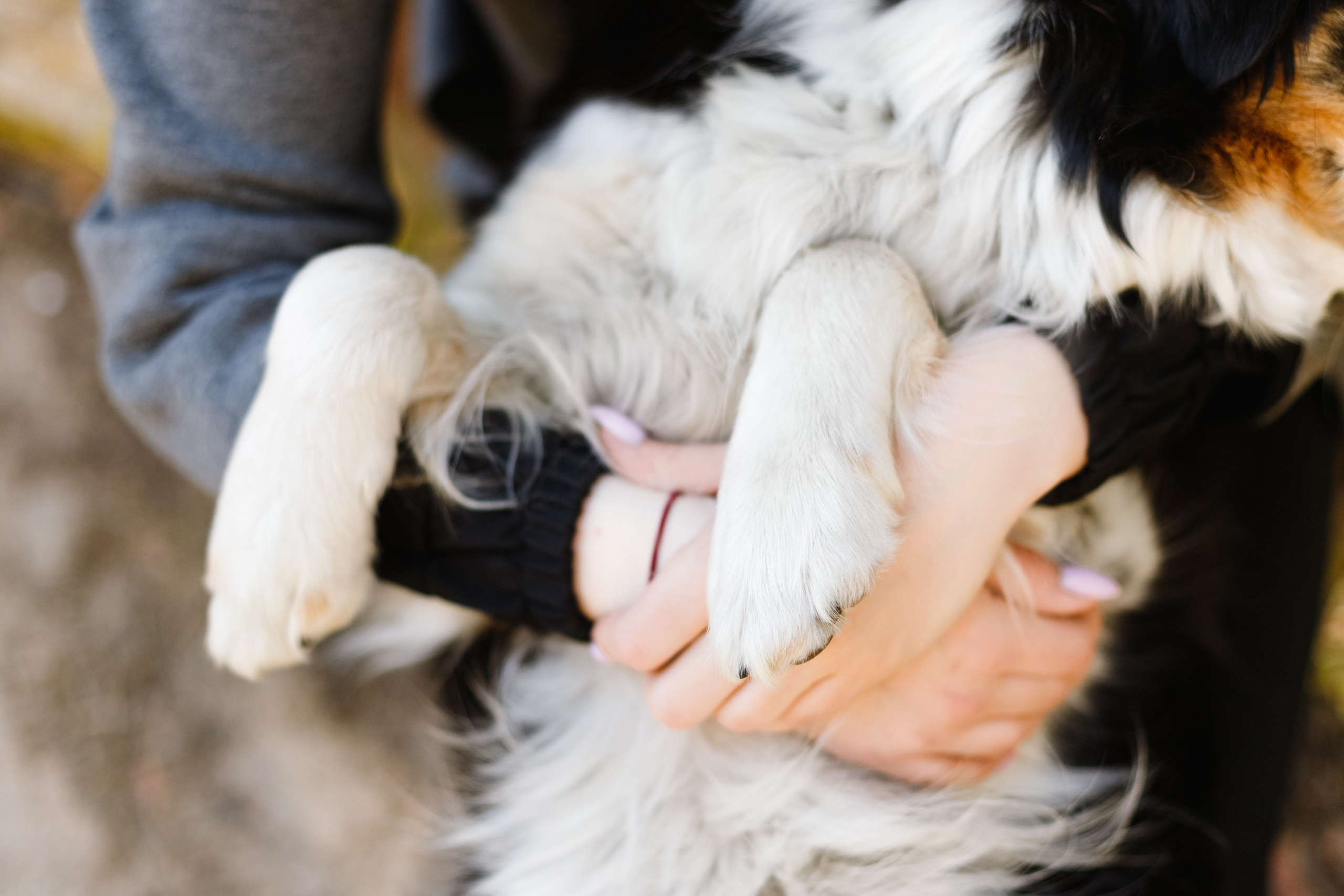 Dog trainer blog content. Kaja | fotograf we Wrocławiu | ludzie i psy