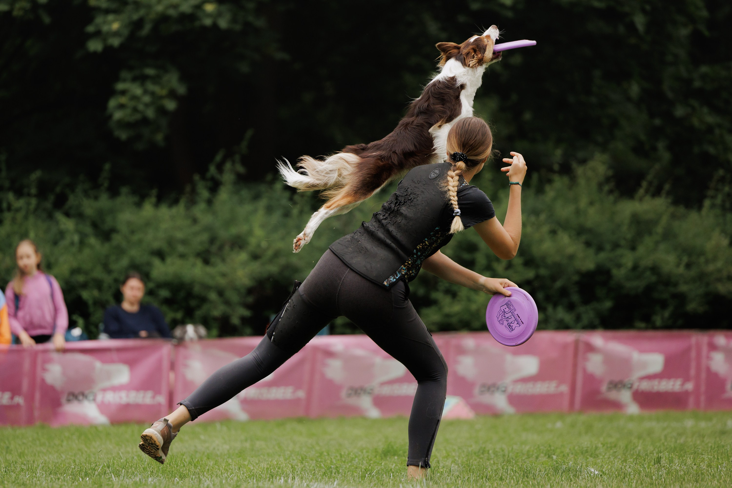 Latające psy, Wrocław'25. Kaja | fotograf psów we Wrocławiu