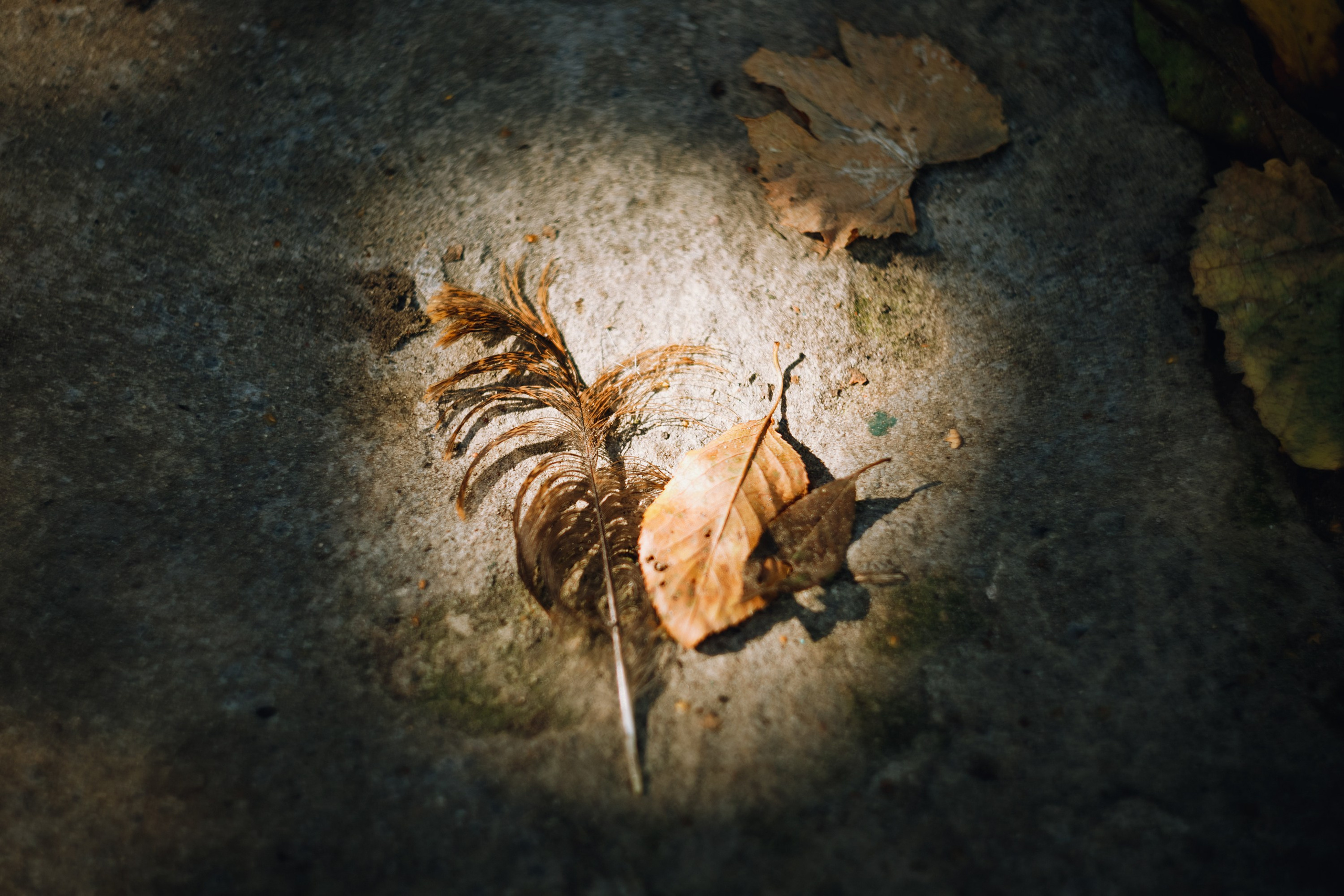 Grandmother's home in Brest. Kaja | fotograf we Wrocławiu | ludzie i psy