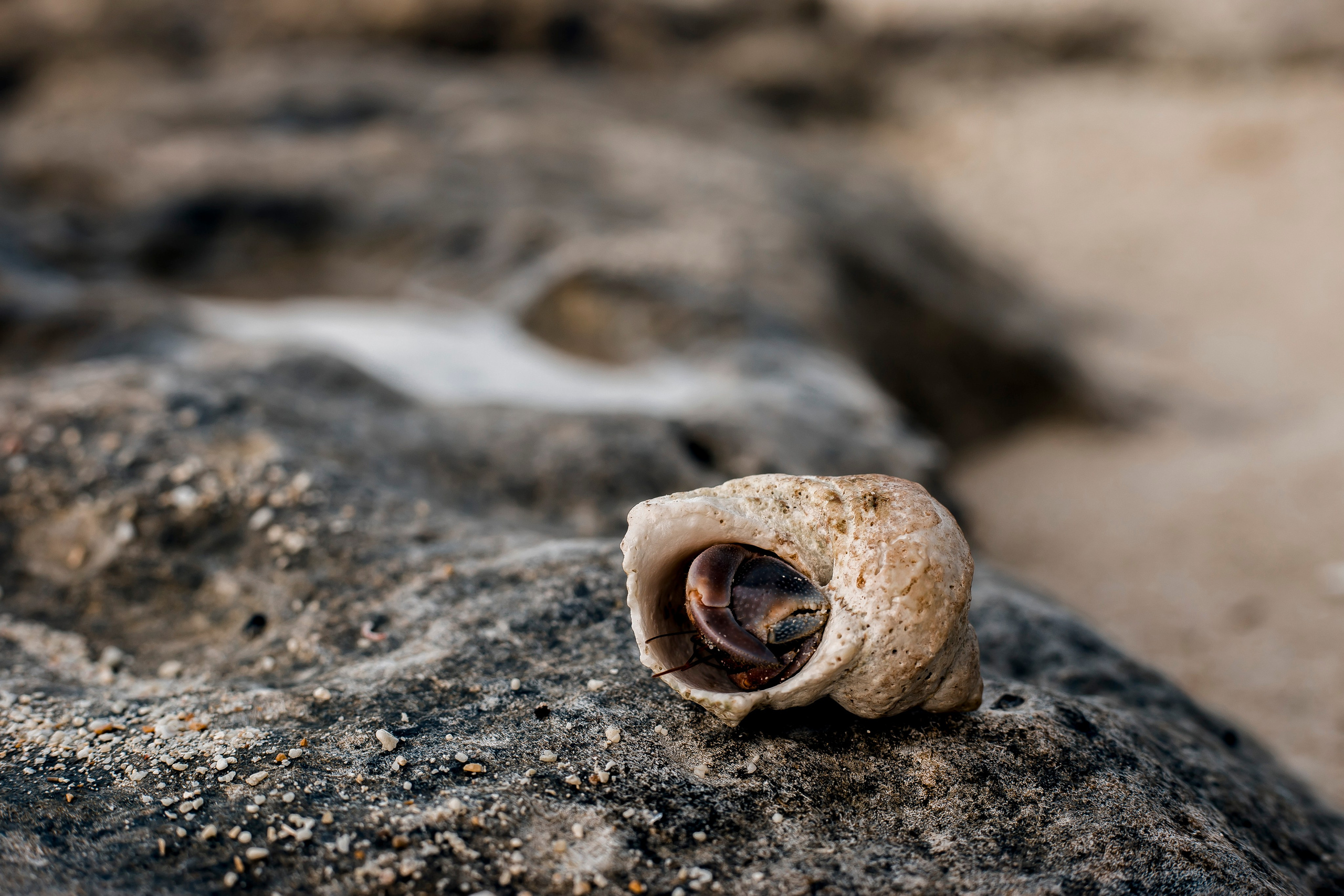 Andaman Islands, Part2. Art Photographer