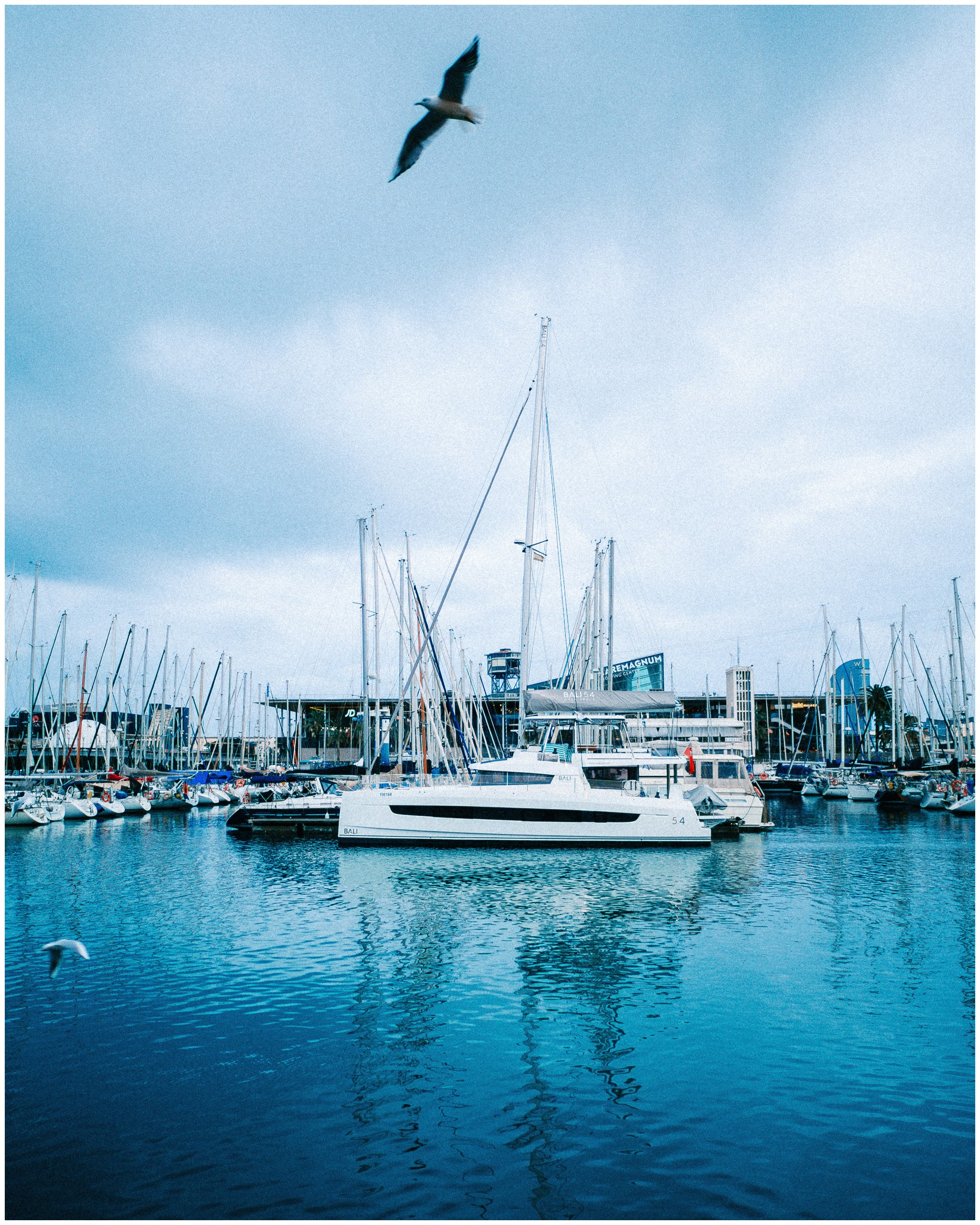 BARCELONA. Inna Mendelson — Photographer