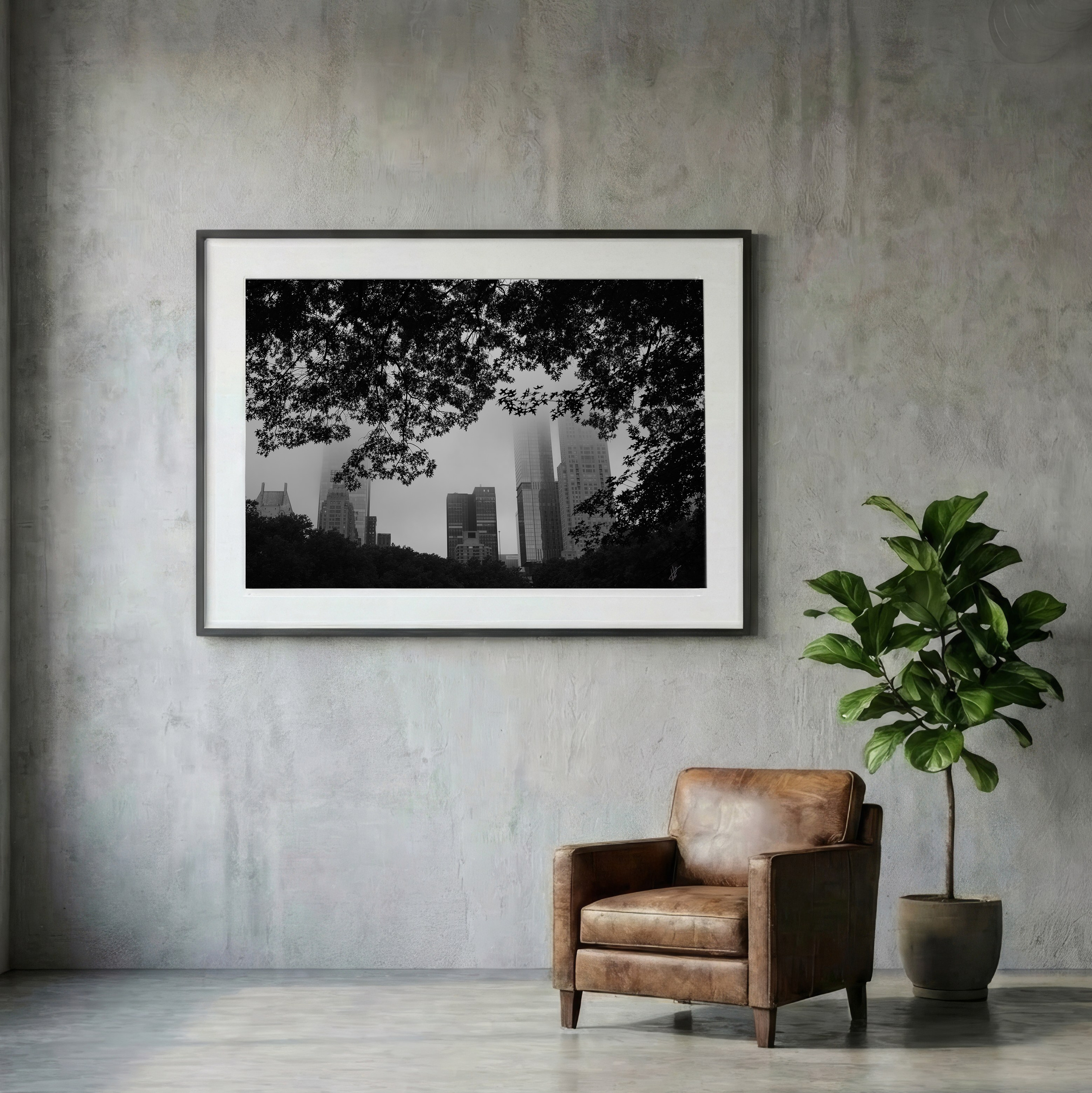 NYC, Central Park, 2025. Fuad Shafiyev