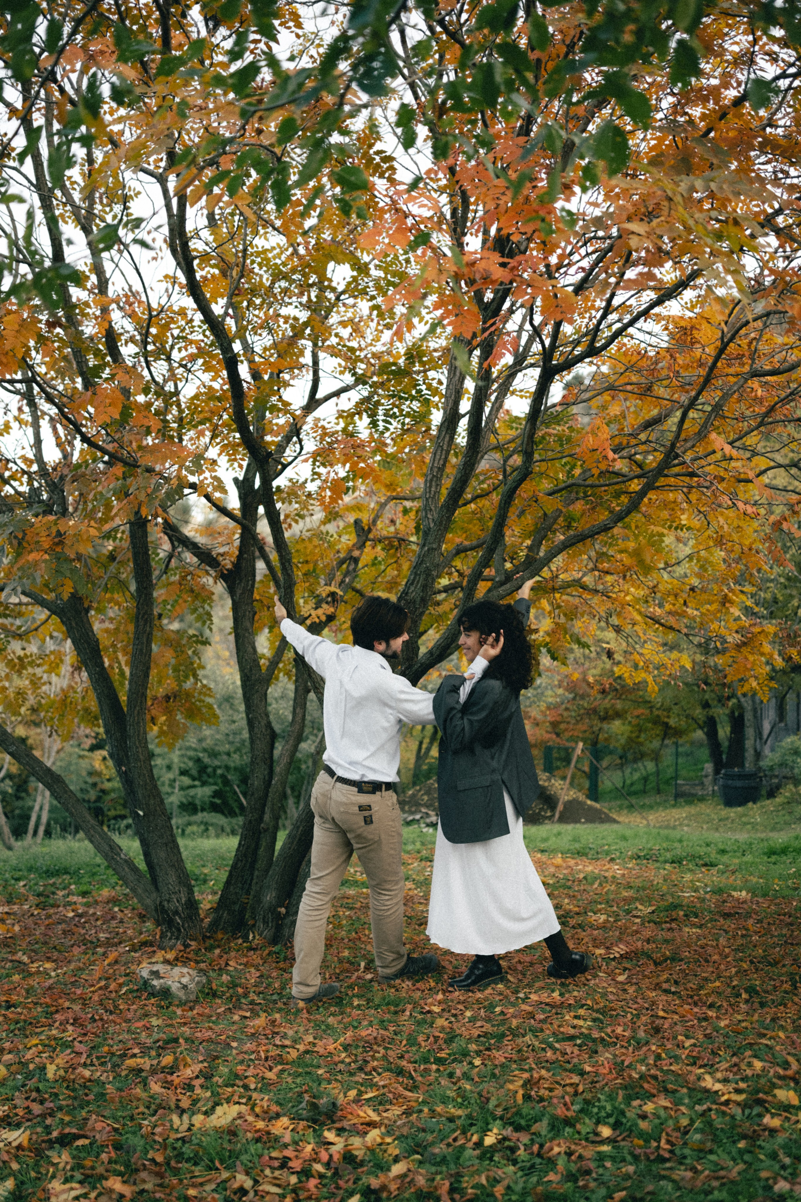 Botanical garden | Alessandro & Johanna. Главная