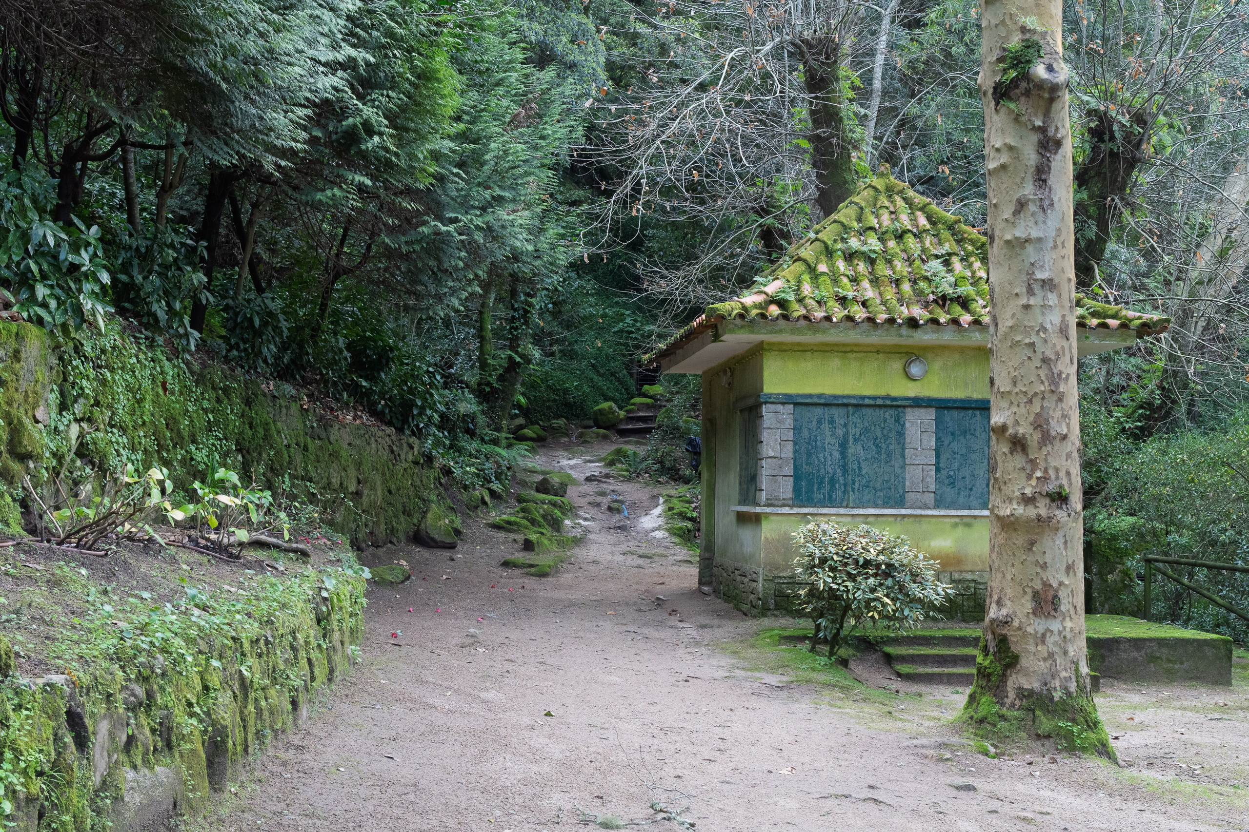 Lisabona 2025. Fotografiideplacere.net