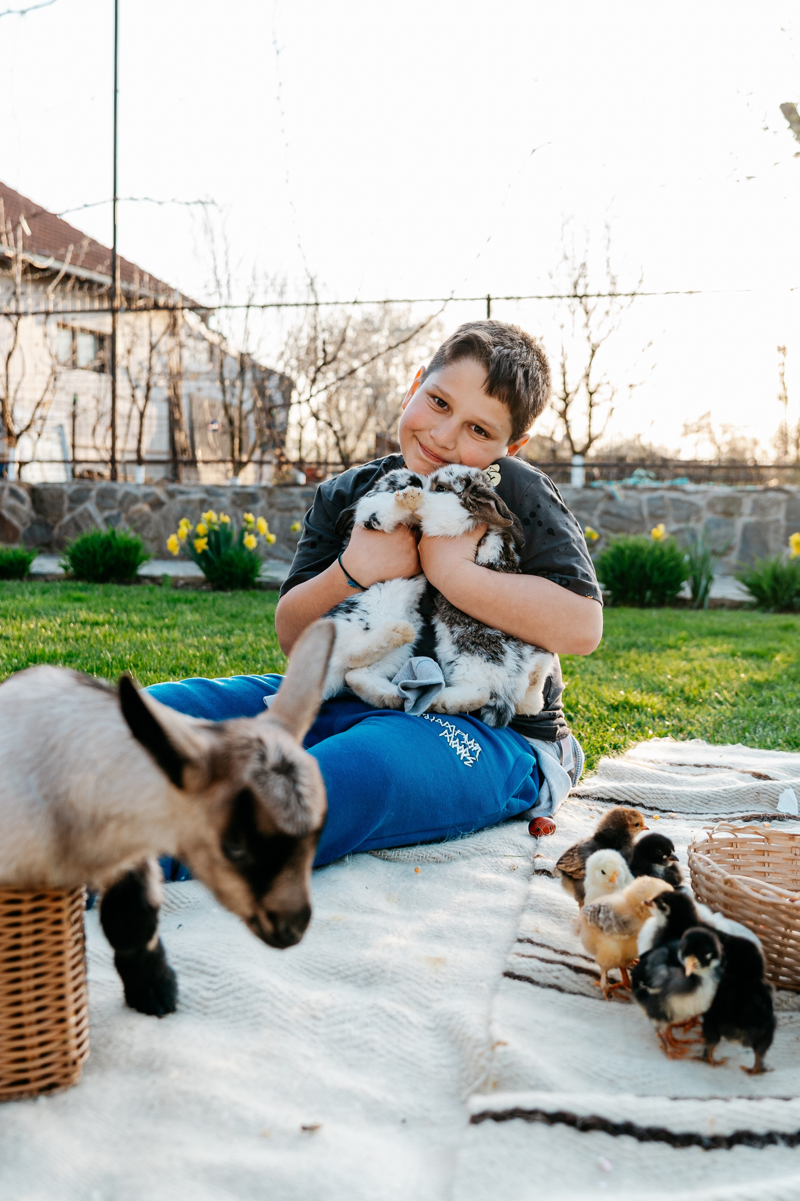 EASTER. Ars Vidi | Digital Solutions