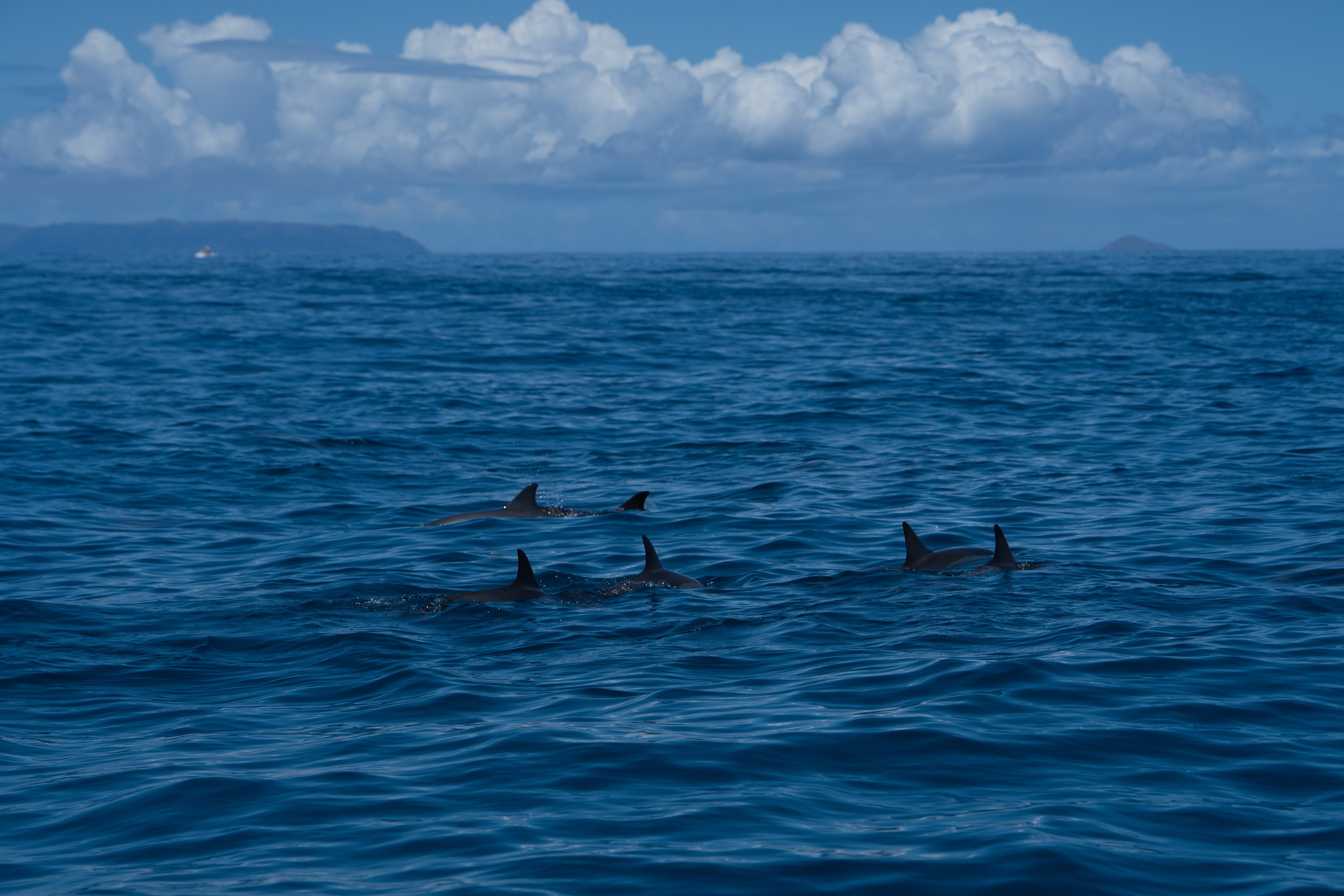 LANDSCAPES. Awards winning photographer in Kauai, Hawaii