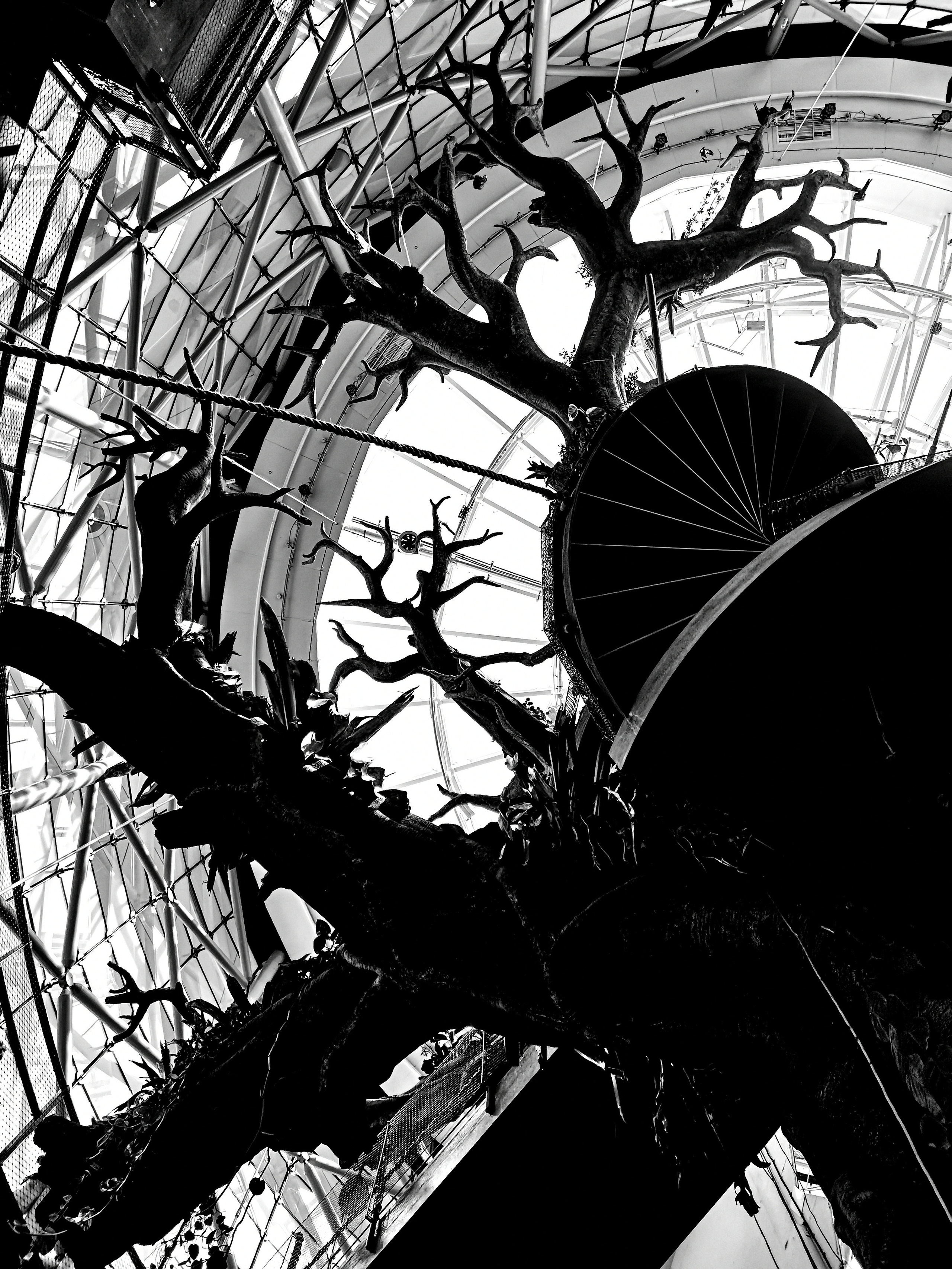 Impact Photo Collecton. Professional Artist, teacher of art, Artistic Photographer In Dubai (U