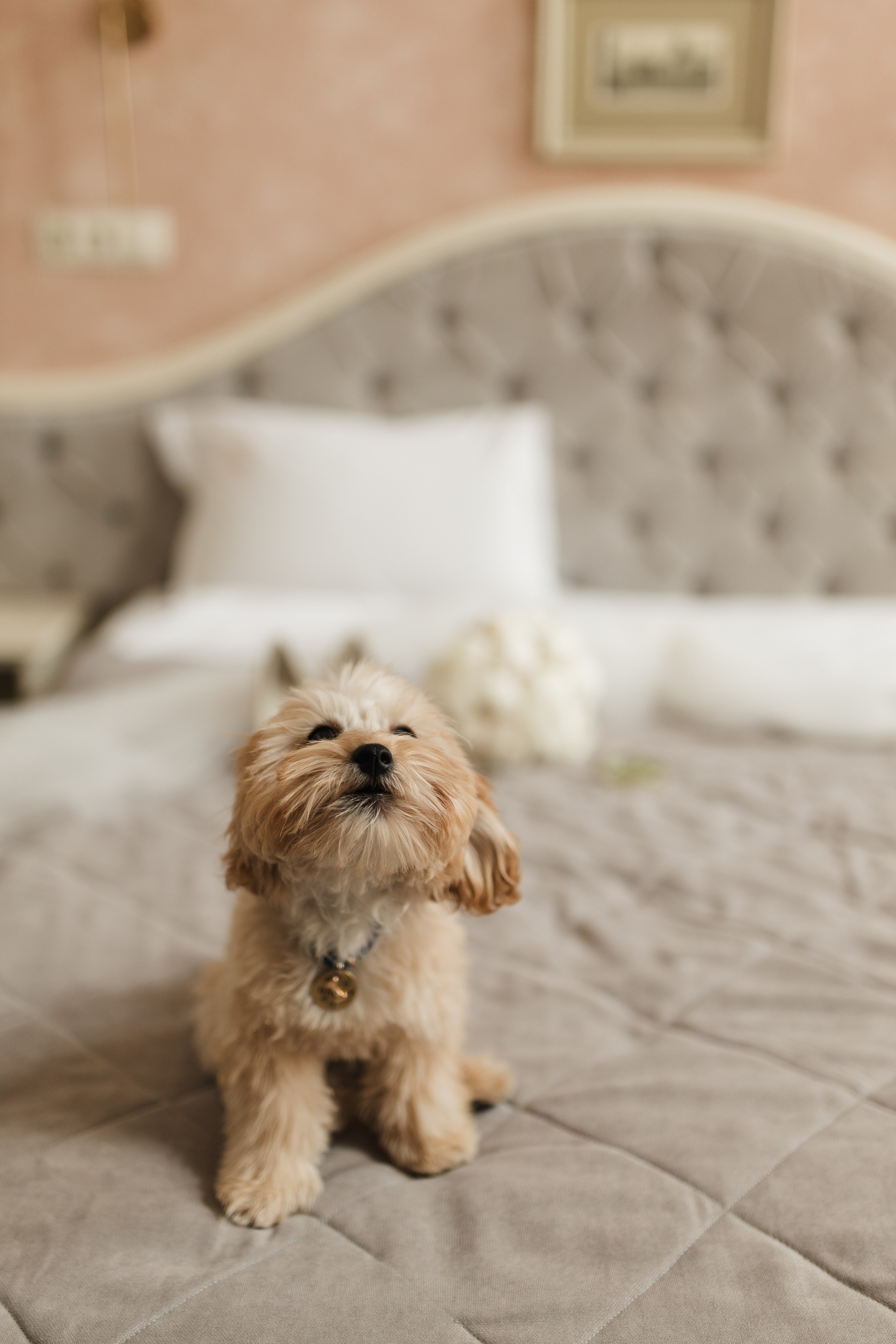 Галина+Антон. Весільний, сімейний фотограф Варшава