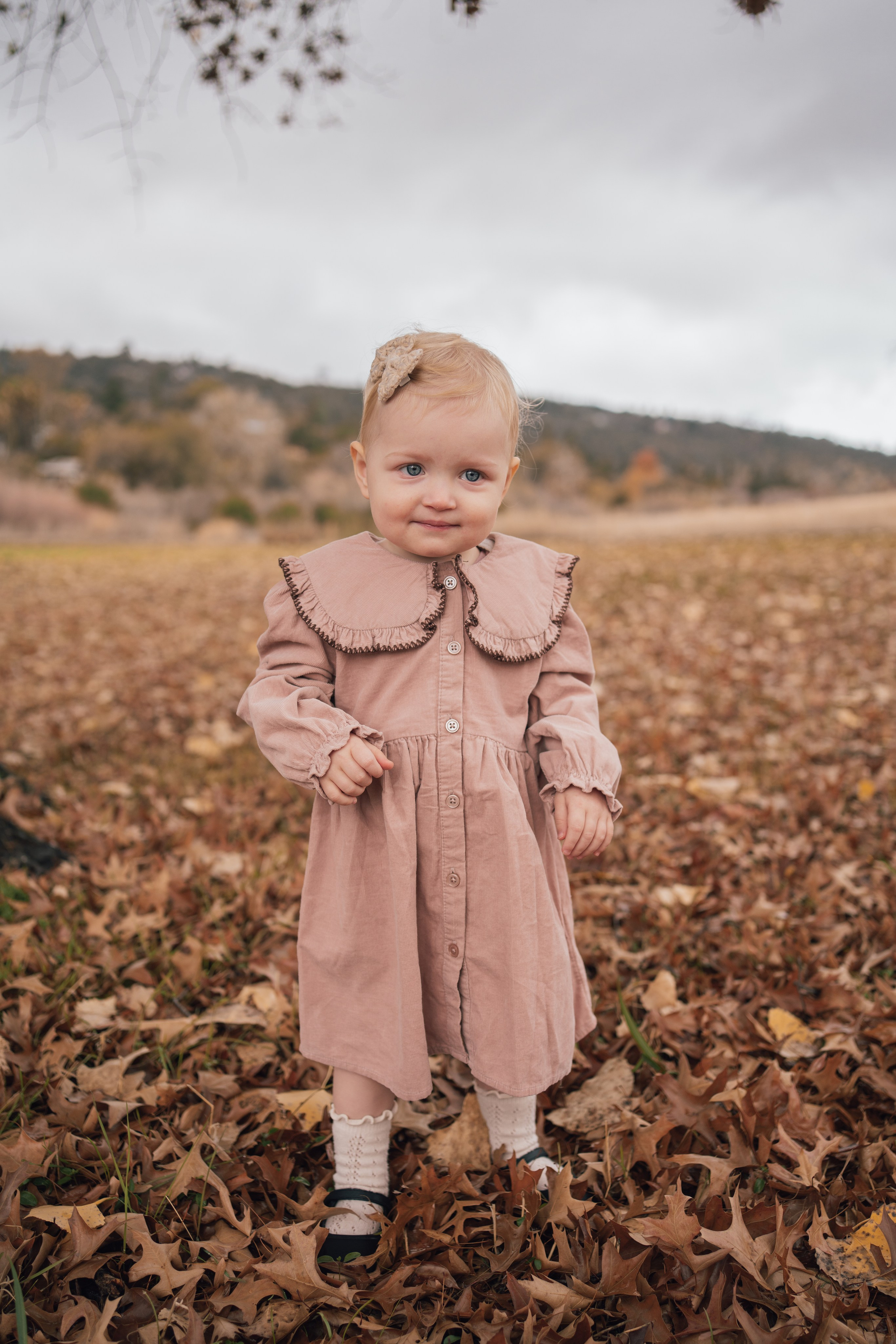 Holiday. Sacramento Photographer — Olga Maltseva based in California