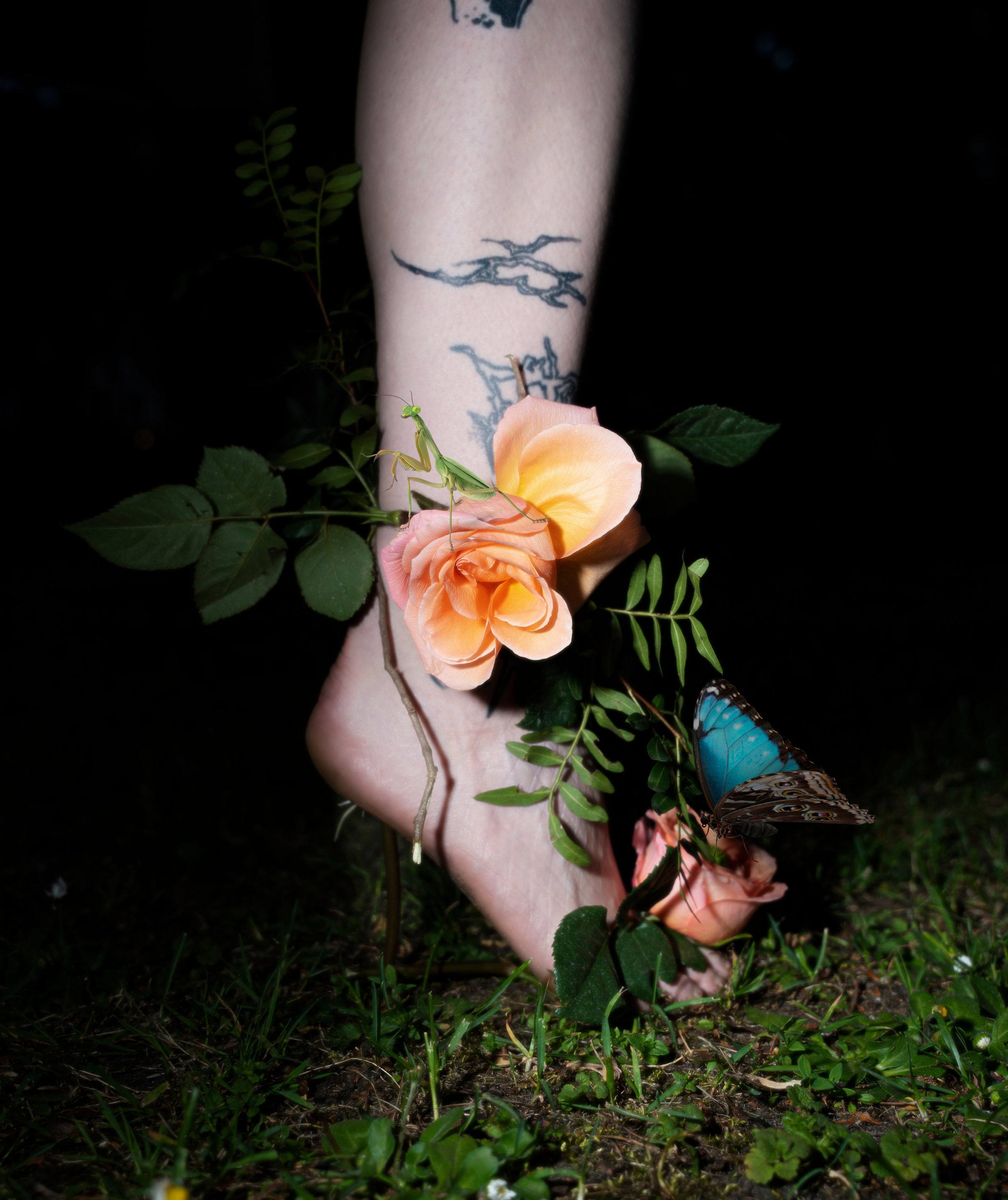 THEME: FLOWERS OF THE SOUL. Anna Omni — concept photographer and digital artist in Riga, Latvia