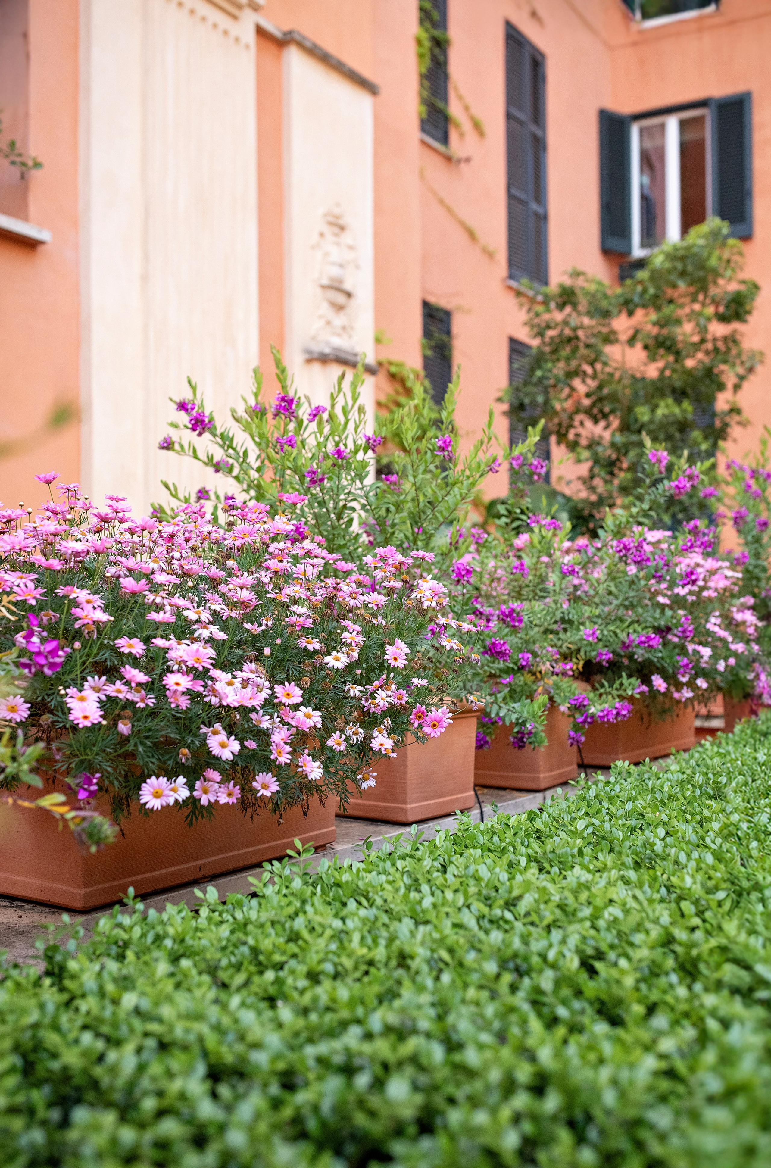 Свадебная фотосессия. Фотограф в Риме, Fotografo a Roma, Photographer in Rome