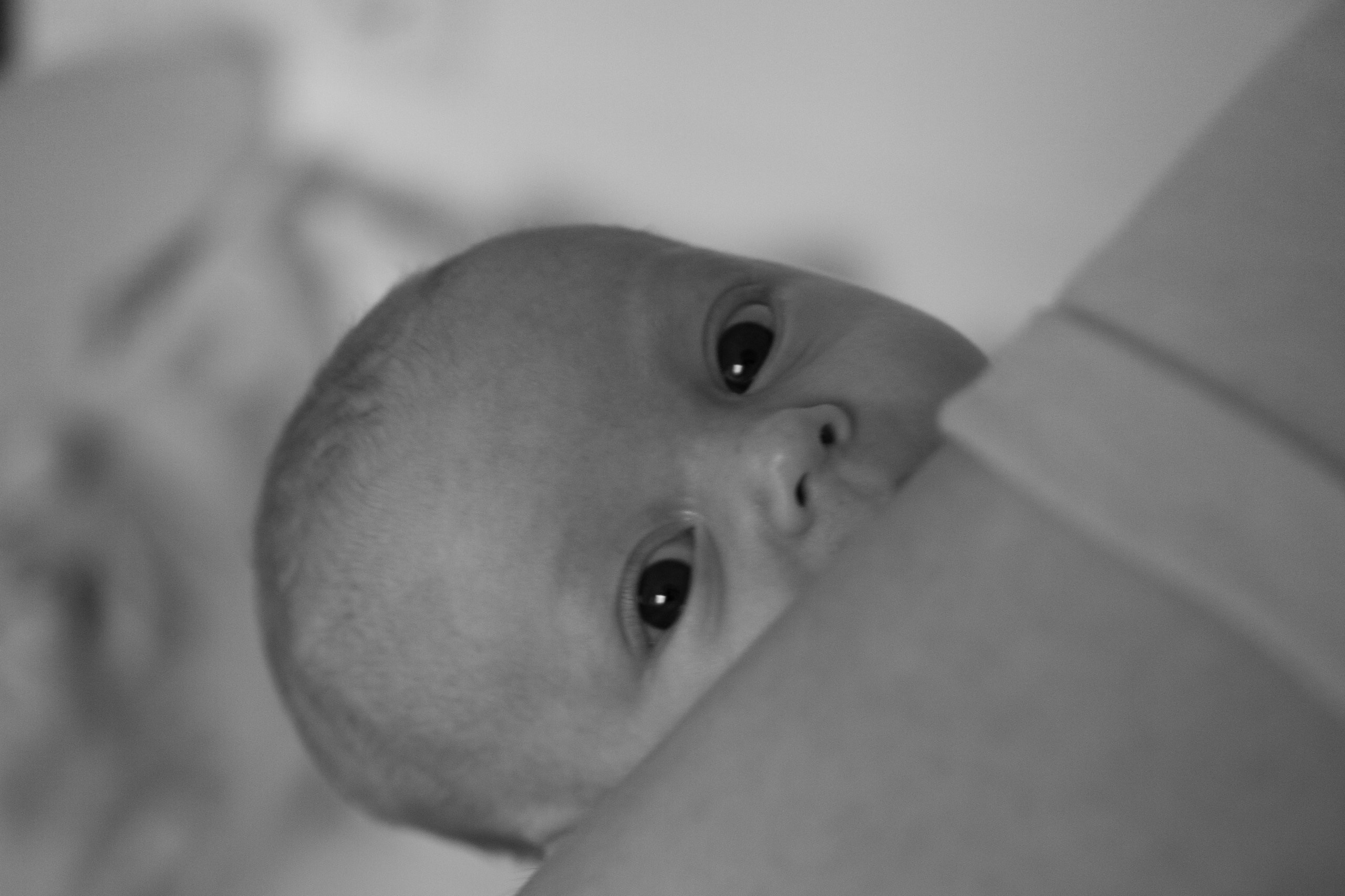 Nicole. Kreatives Design & Fotografie – Dein Partner für starke visuelle Auftritte