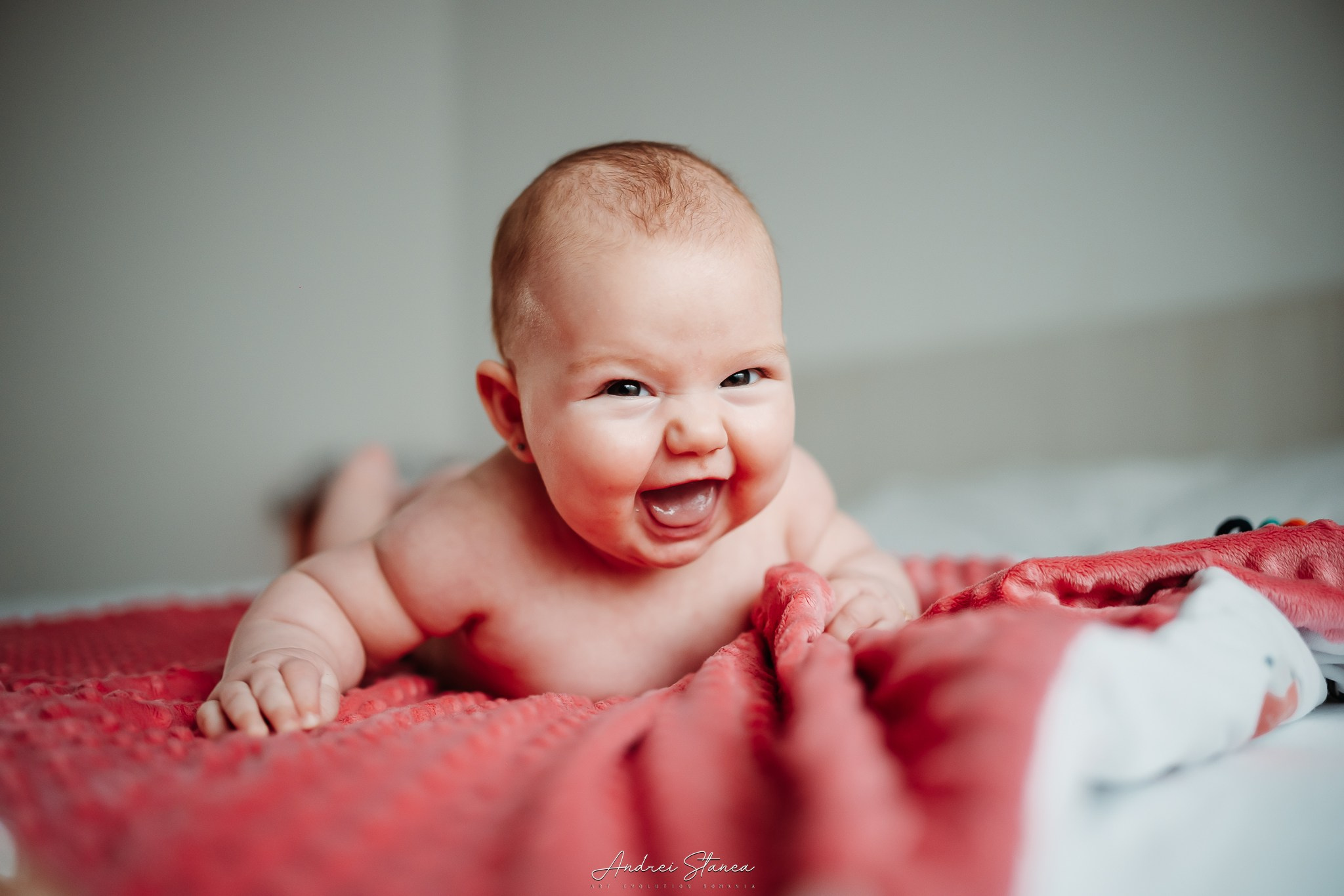 Zenayda. Andrei Stanea