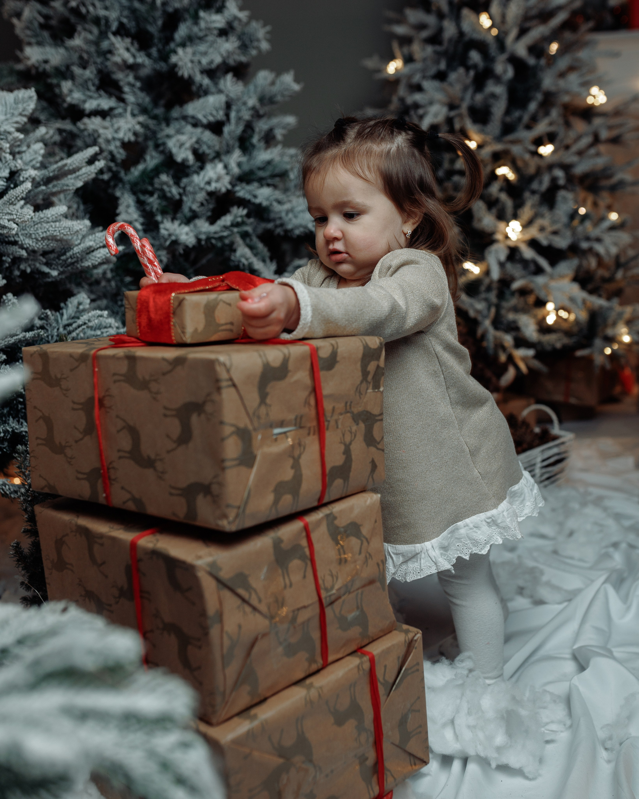 Christmas Time. Https://valeriubriciuc.com/