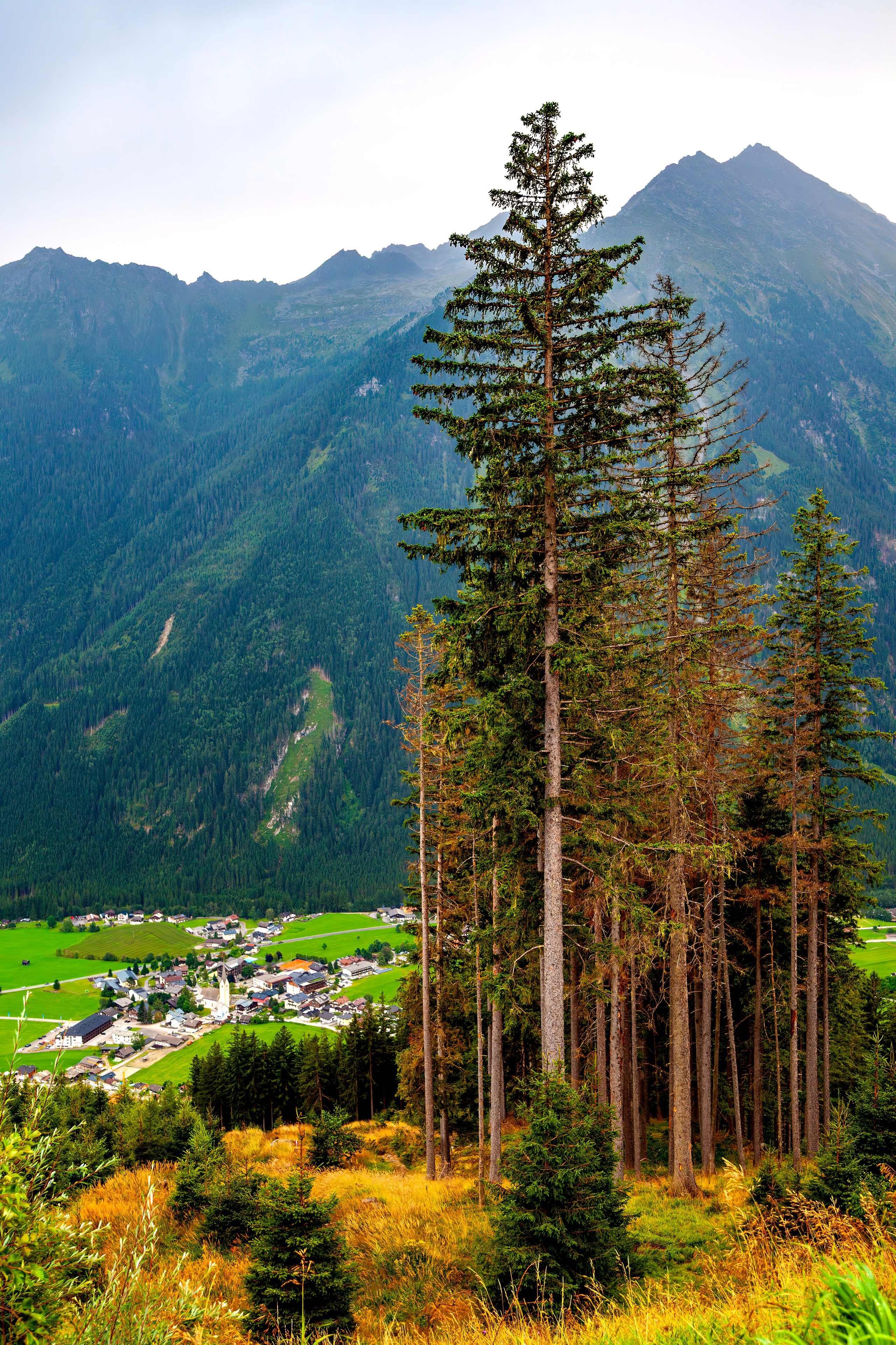 191.Oberpinzgauer Nationalpark Vorfeld.Austria.16.8.2025. Путешествия в формате 360......