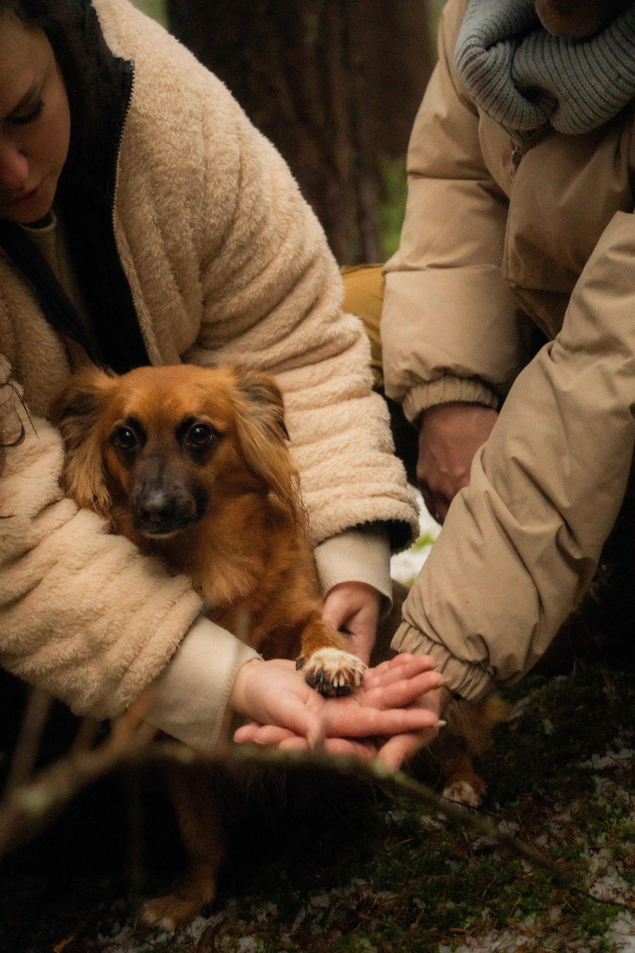 Irina and Oleg. Everwarm Photo and Video Studio