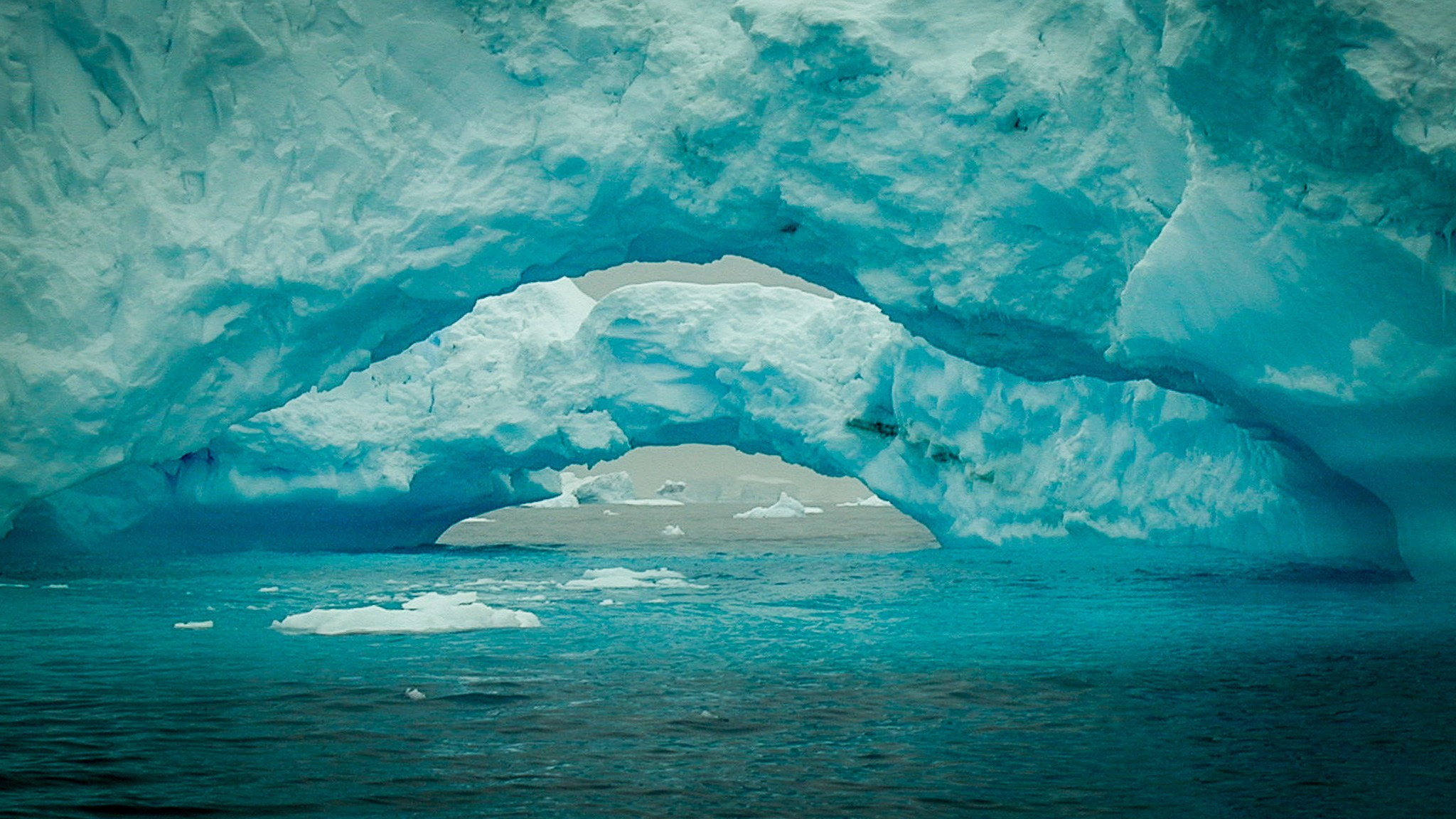 ANTARCTICA / 2004. Reportage concert portrait photography in the San Francisco Bay Area