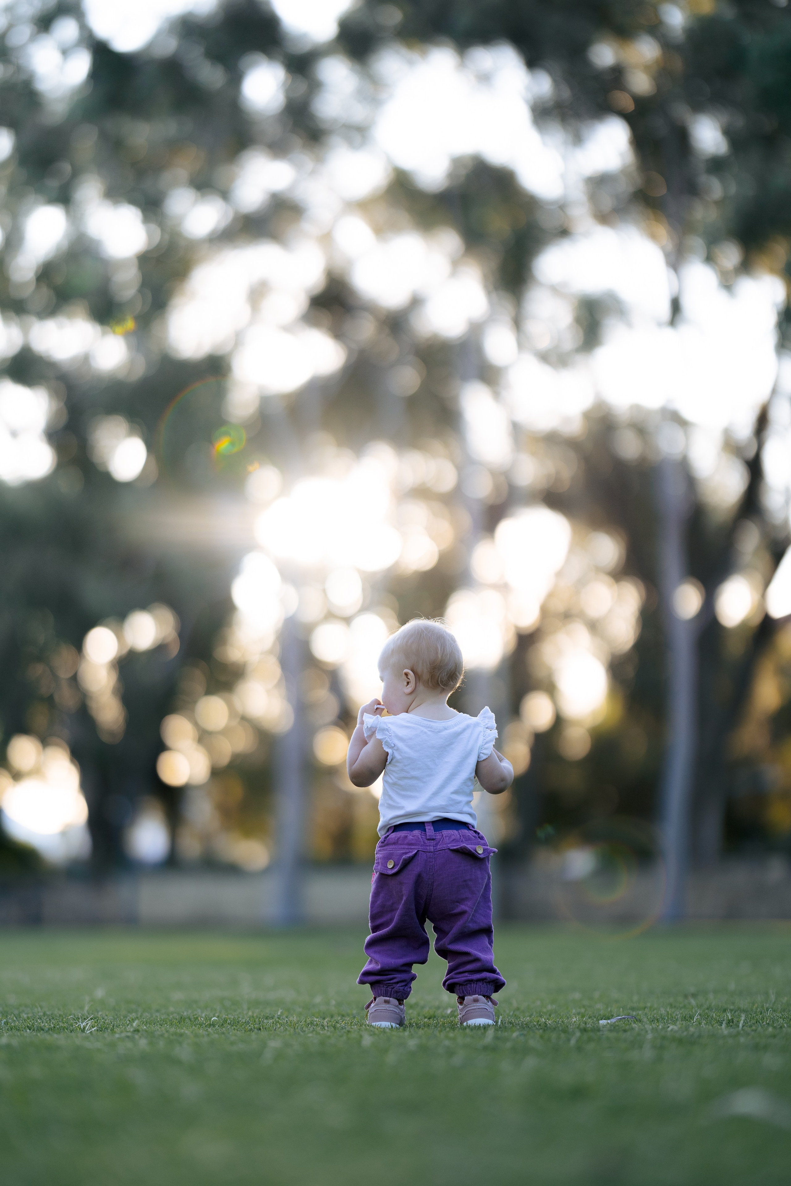 Photos from different family photoshoots