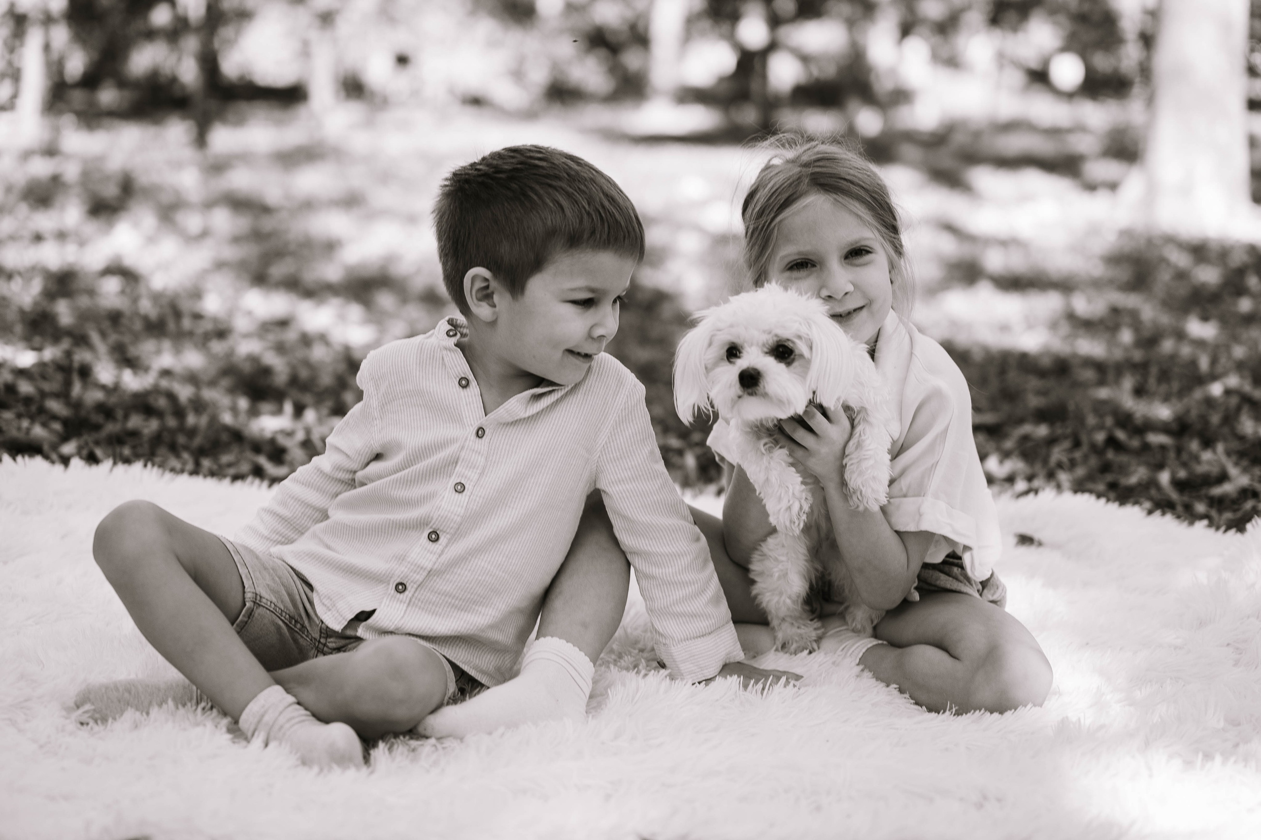 Ana, Marko, Lenka i Novak / porodično fotografisanje. Dečiji i porodični fotograf