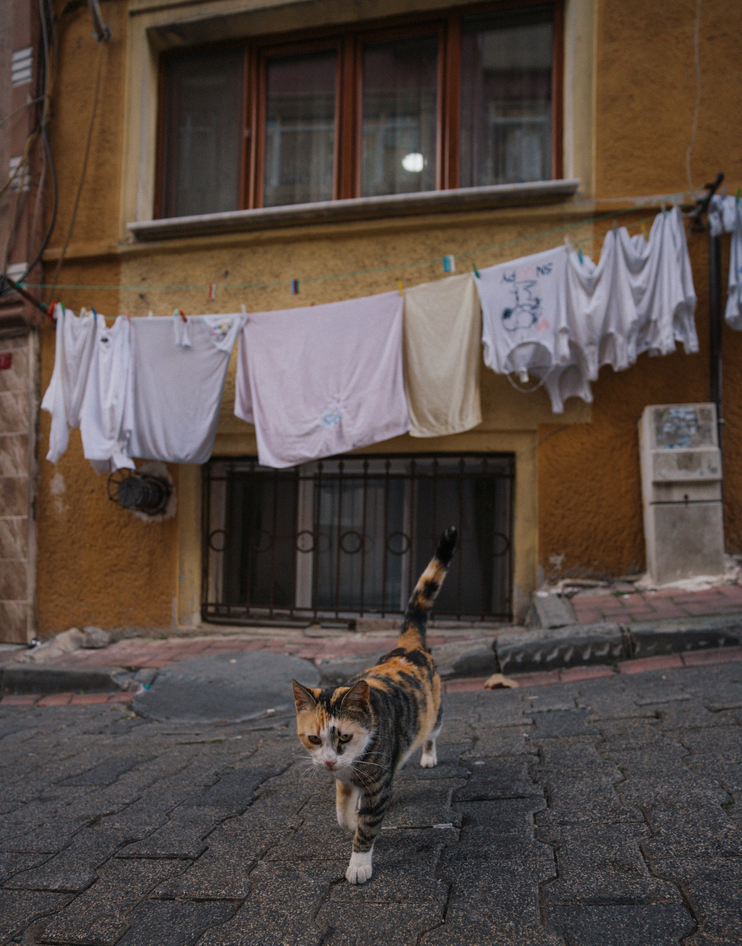 СТАМБУЛ. Стрит-фотография, полная абсурда, идиотизма и красоты