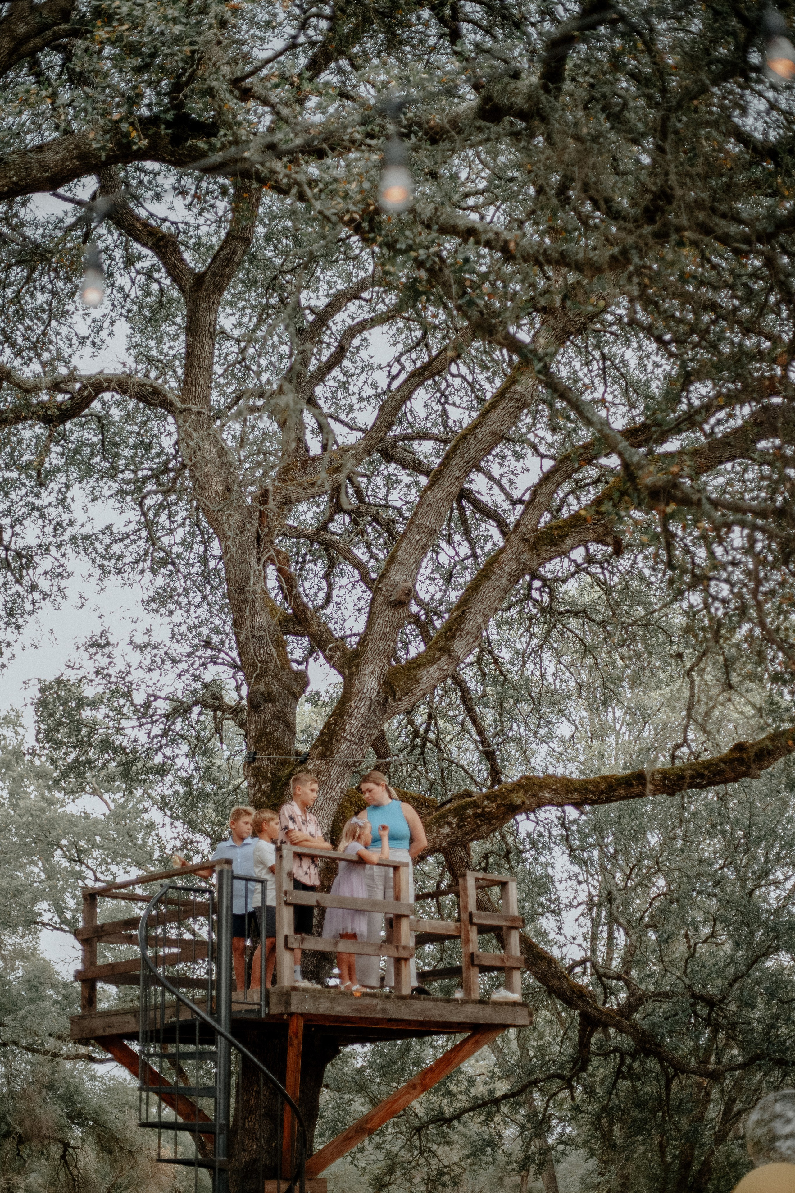 Wedding anniversary. Photographer Inna Kalmykova