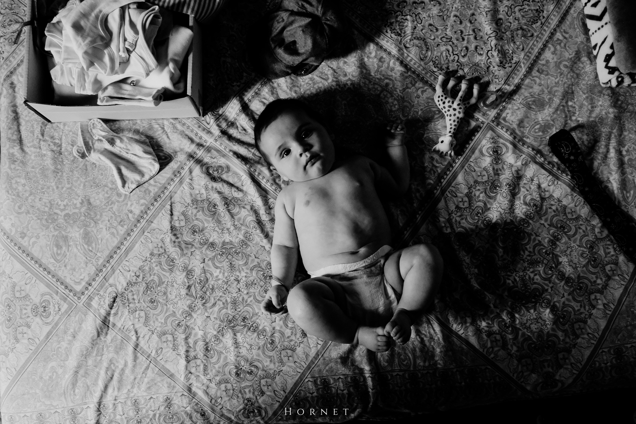 Mihail-Sebastian. Hornetart