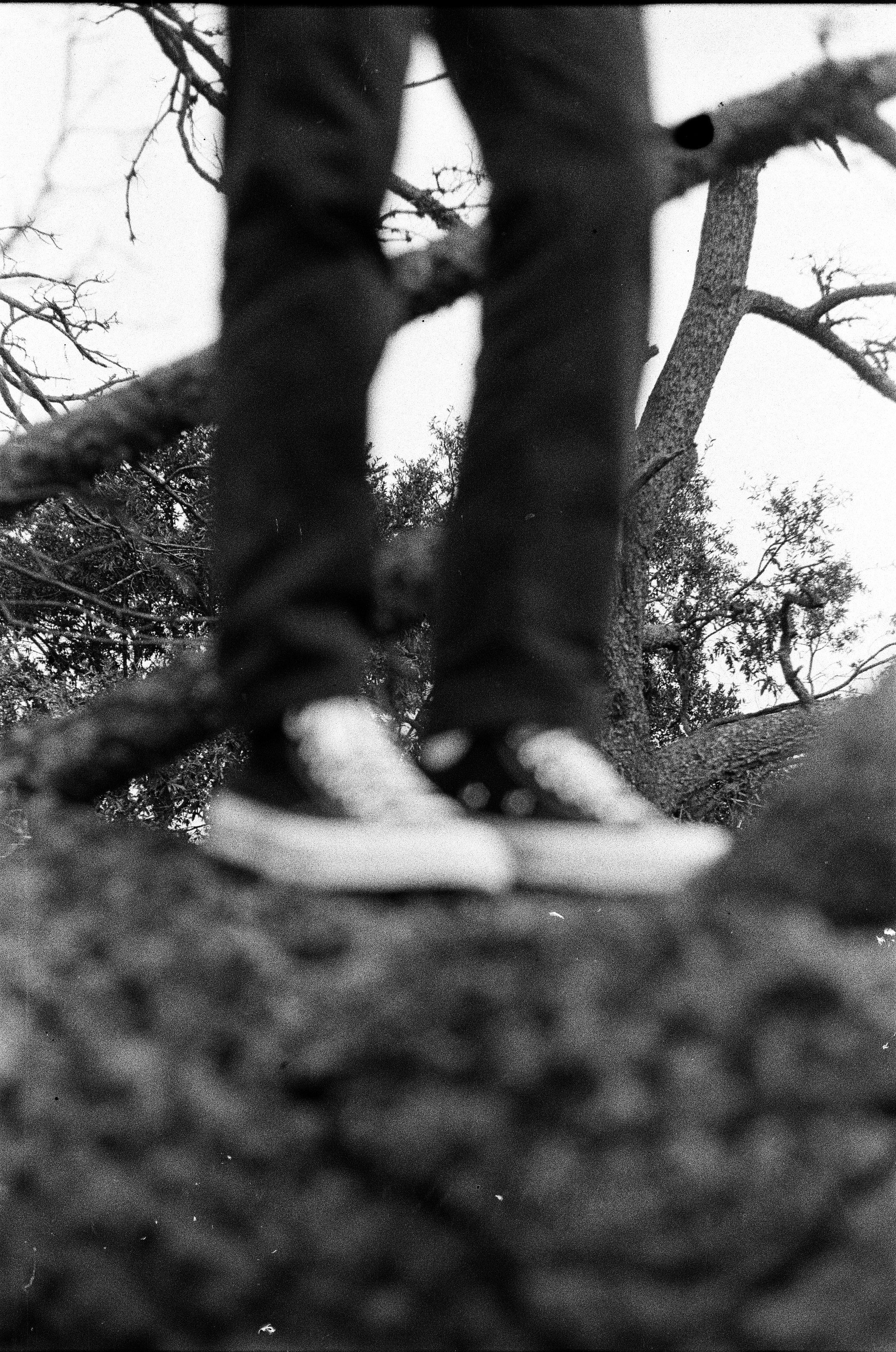 FOTOGRAFIA ANALOGA. Ian Medina, fotógrafo profesional en México