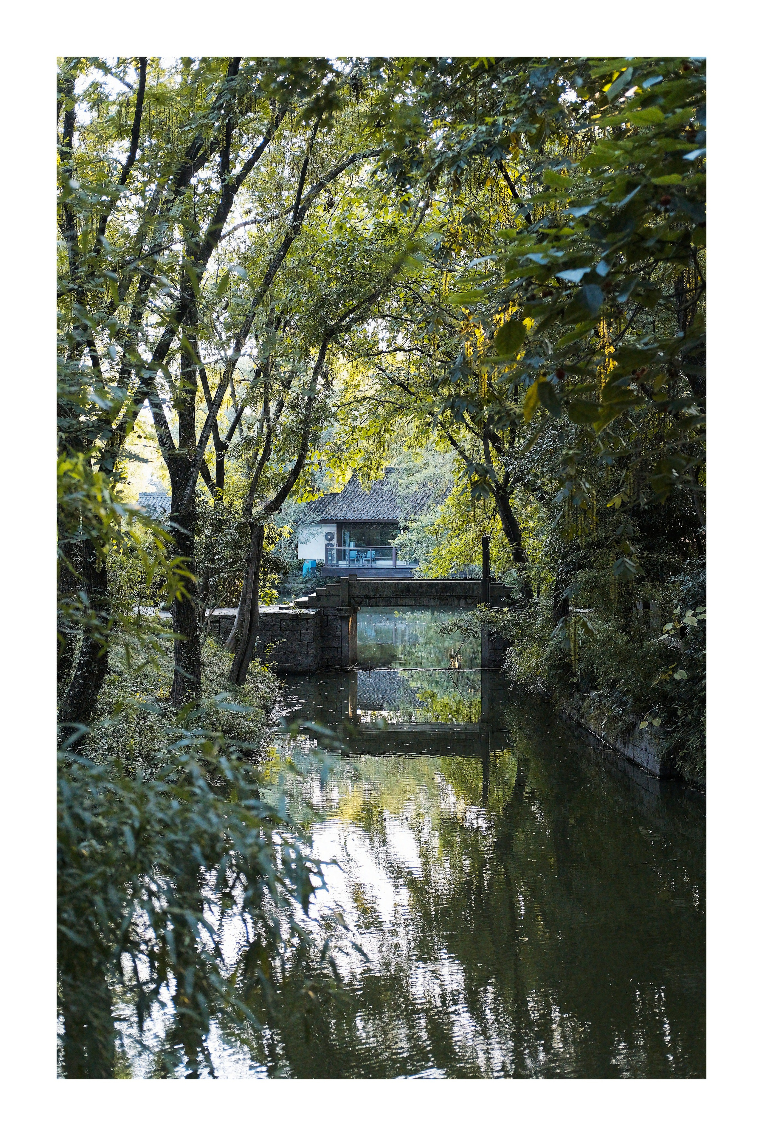 A Hidden Waterway in Xixi Wetland, Hangzhou