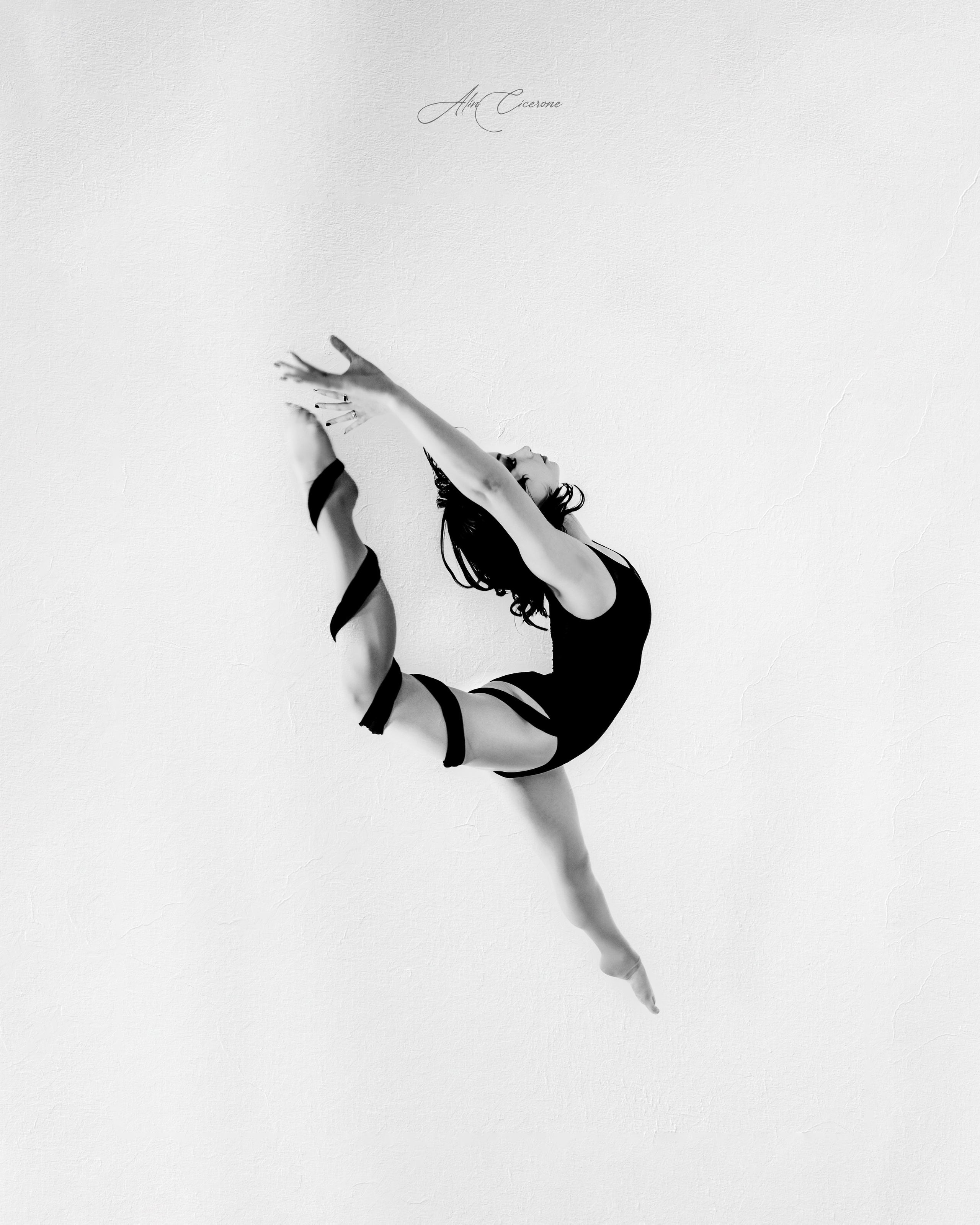 Artist Portfolio. Alin Cicerone | Fotograf FineART Suceava