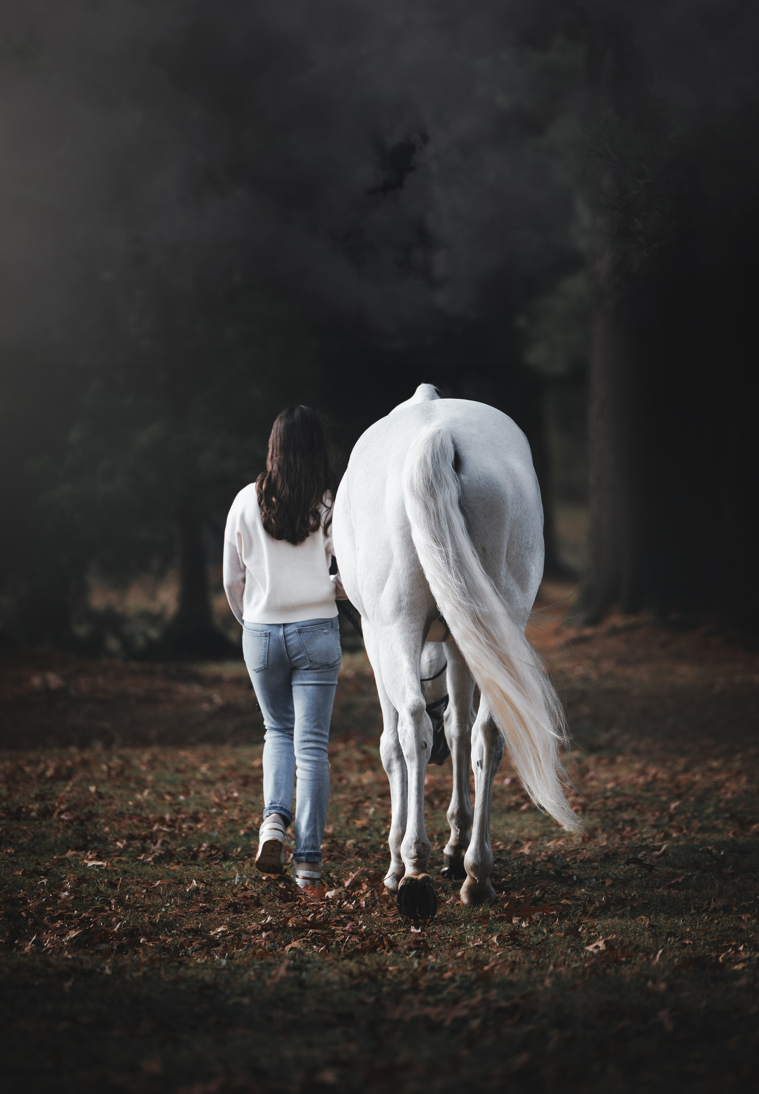 Jet Puff & Wynter. Pet Photographer Viktoriya Aleshenko