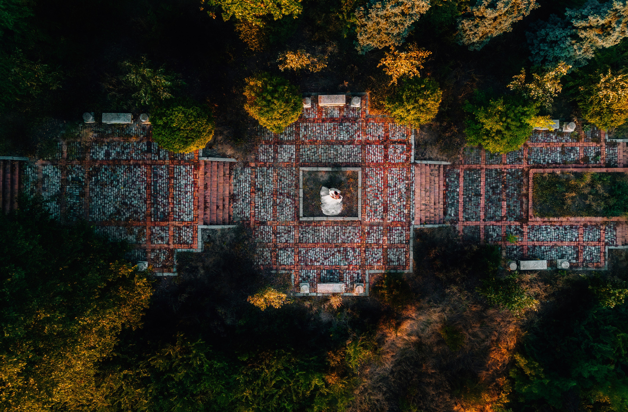 Anna & Vlad. Fotograf de nuntă Alex Pasarelu