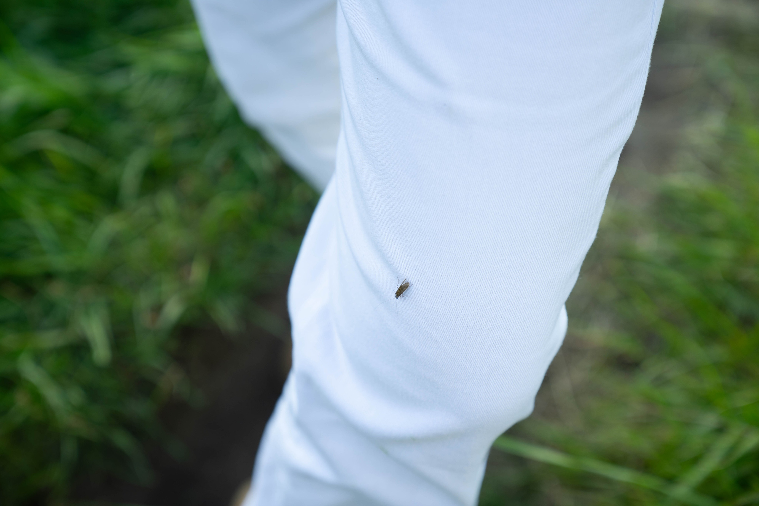 Anna. Lifestyle фотограф Турку. Ловлю эмоции в кадре