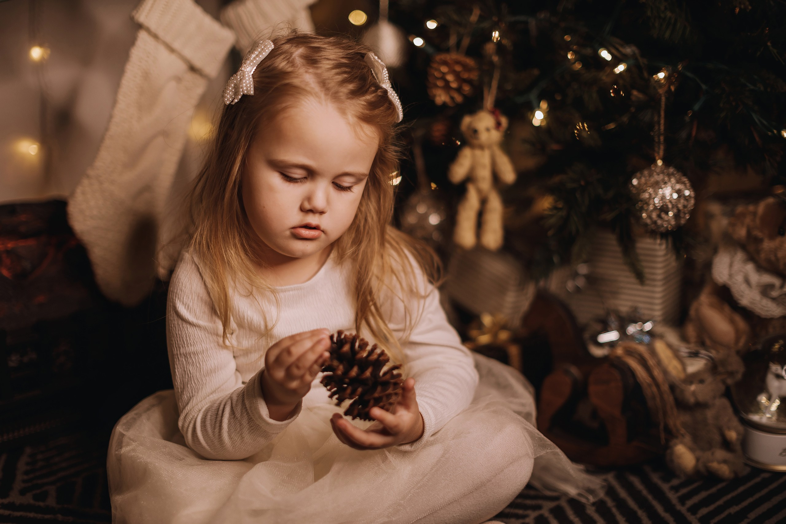 25.11.2023 Christmas Photoshoot. Wedding family event photographer in Chicago Nick Yushevich