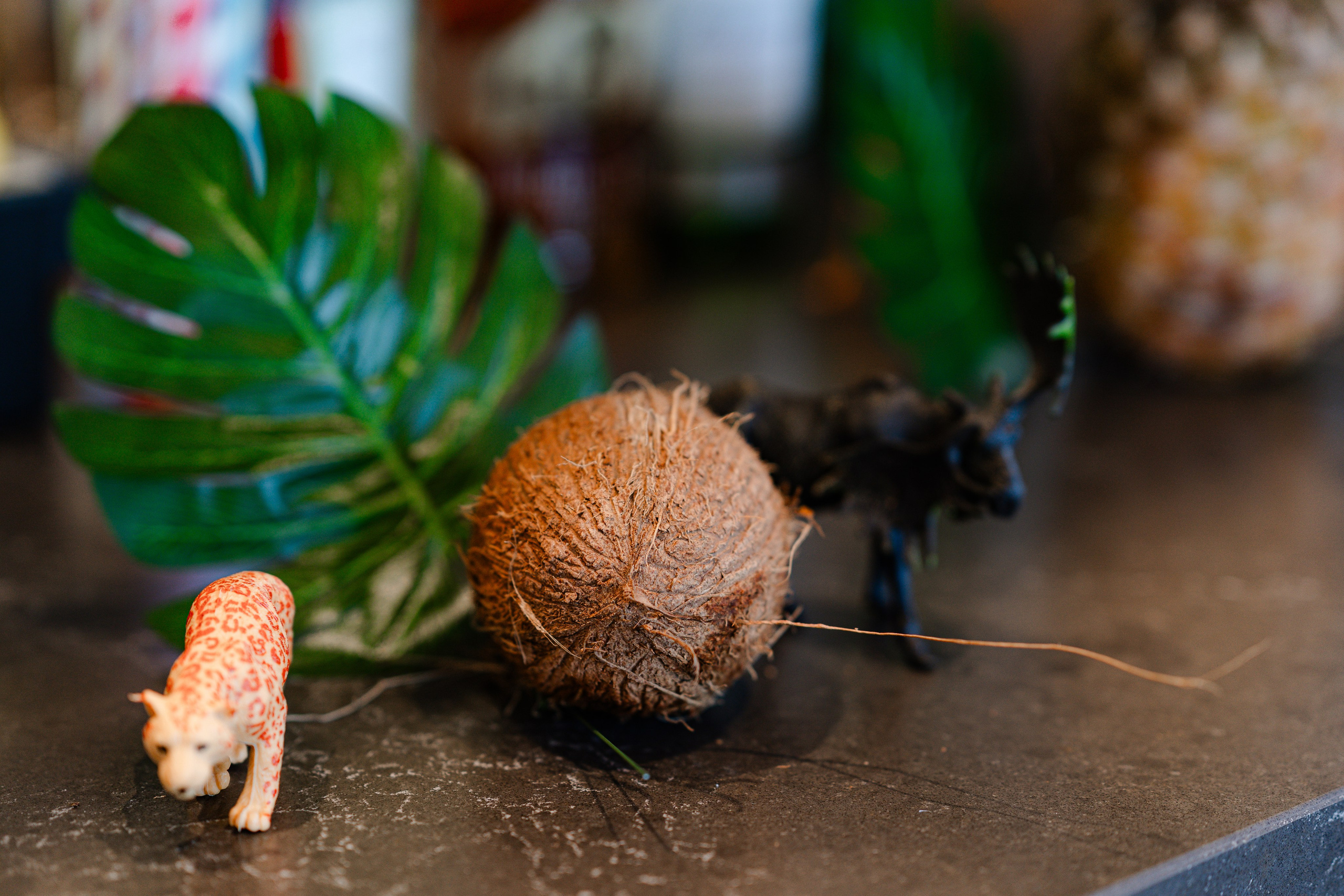 One year. Tonya Kyrylenko photographer in London