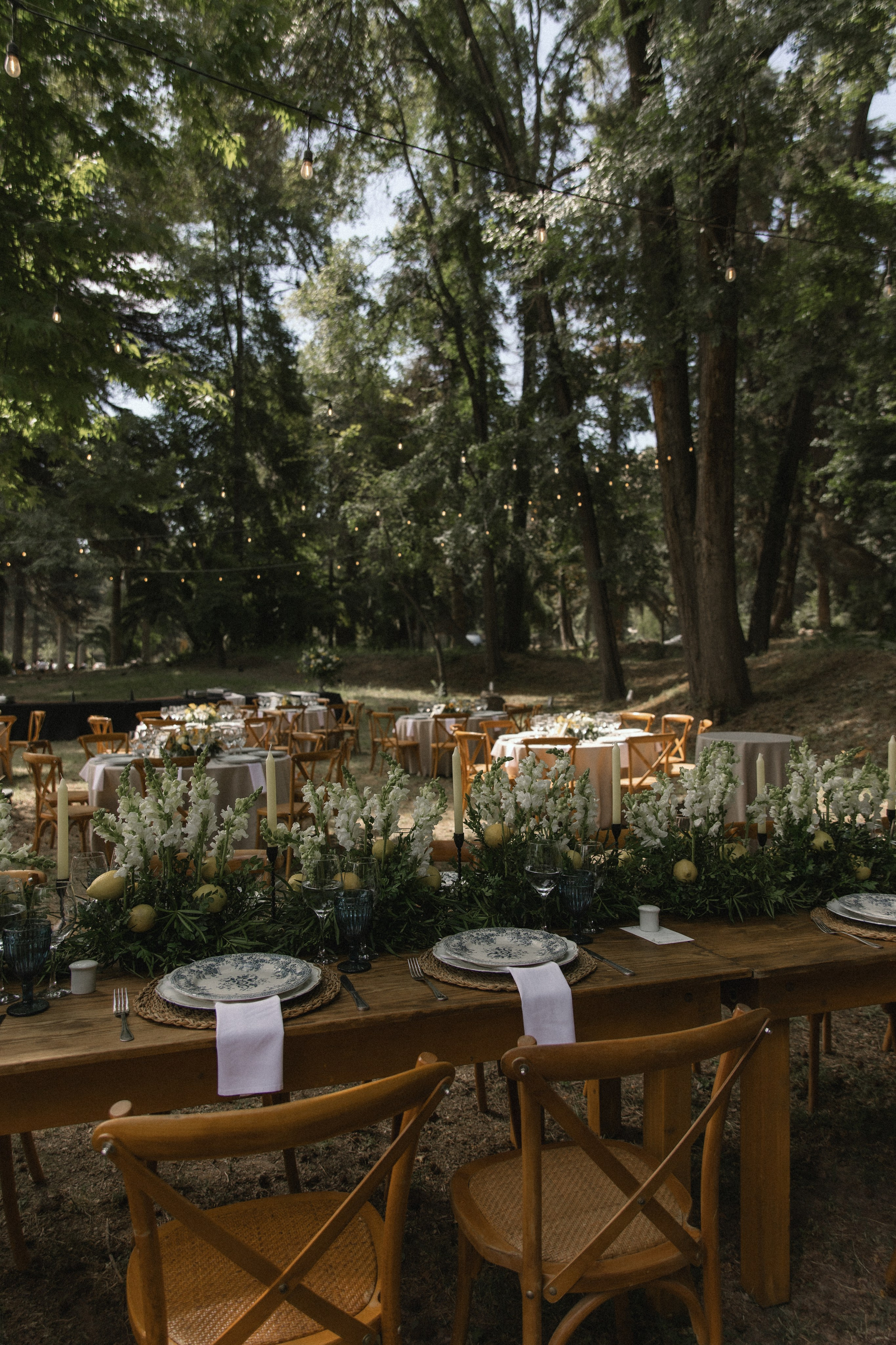 María José & Nikolas. Fotógrafa familiar Santiago y Chile Anna Almazova