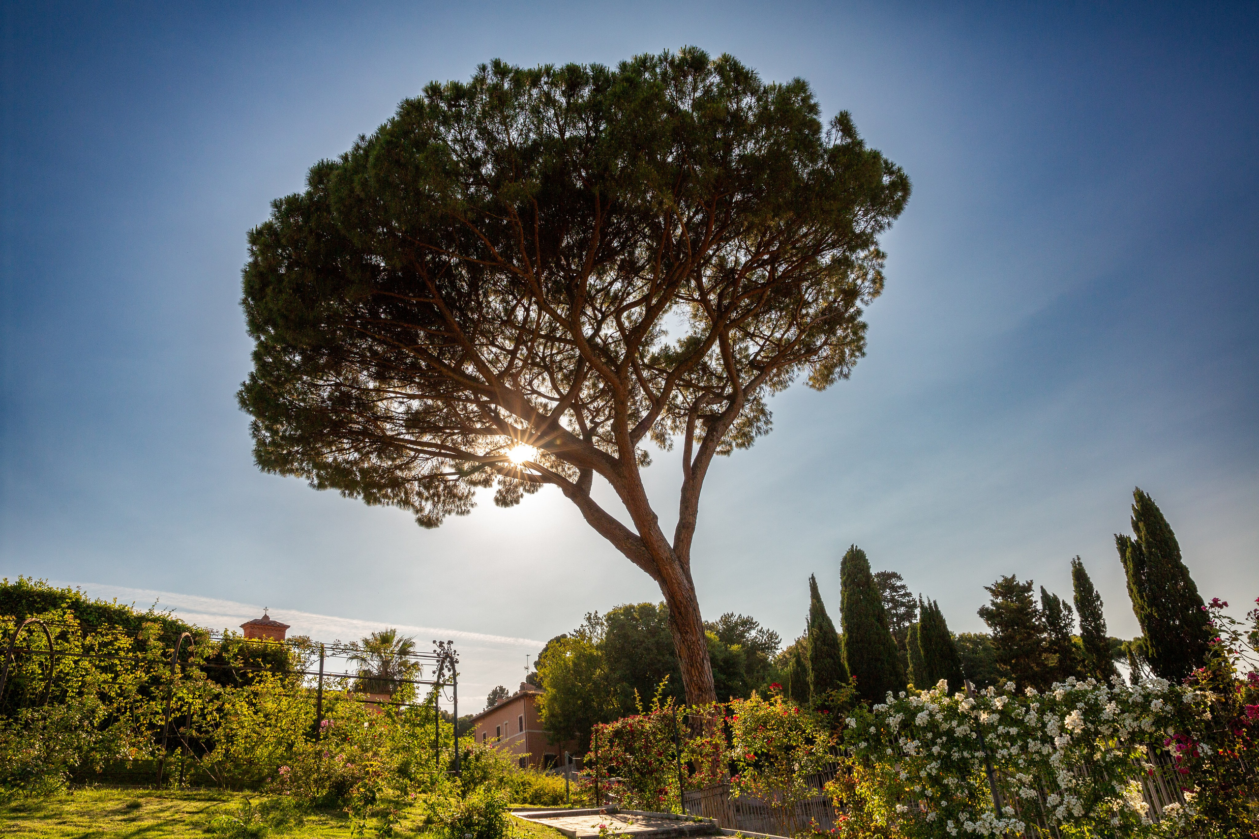 Paisagens. Thiago Chinellato