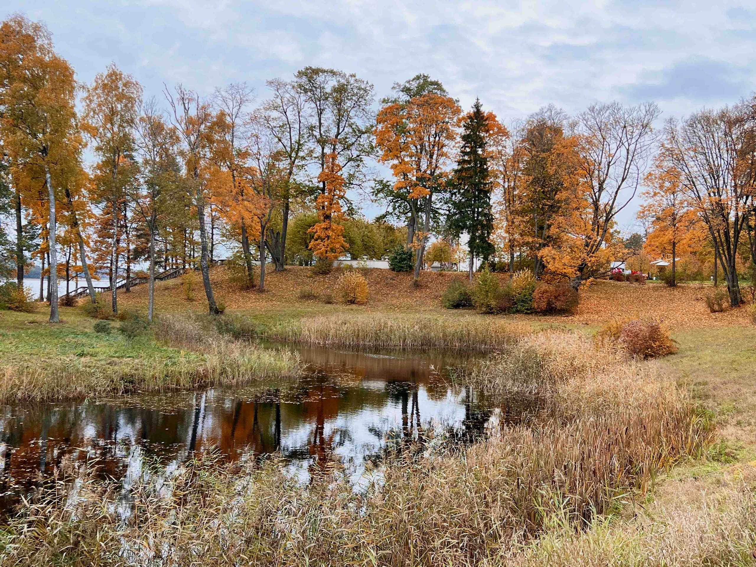 Best Autumn Photoshoot Locations in Vilnius: Top Spots to Capture the Fall Colors. Framed by Evelina | Destination Wedding Photographer from Lithuania | Europe