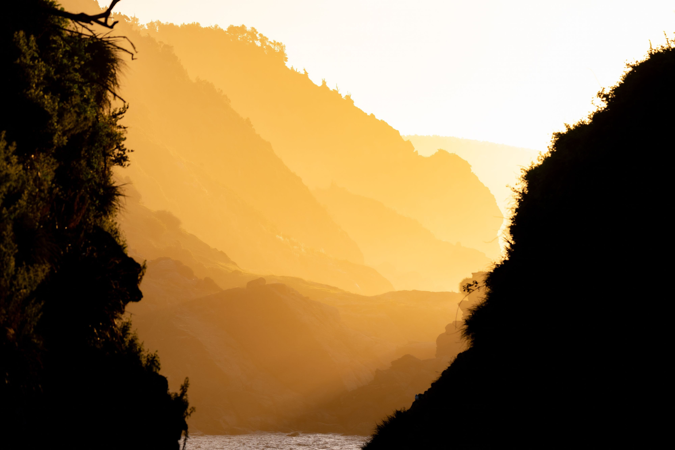 Costa Valdiviana. Avesdevaldivia