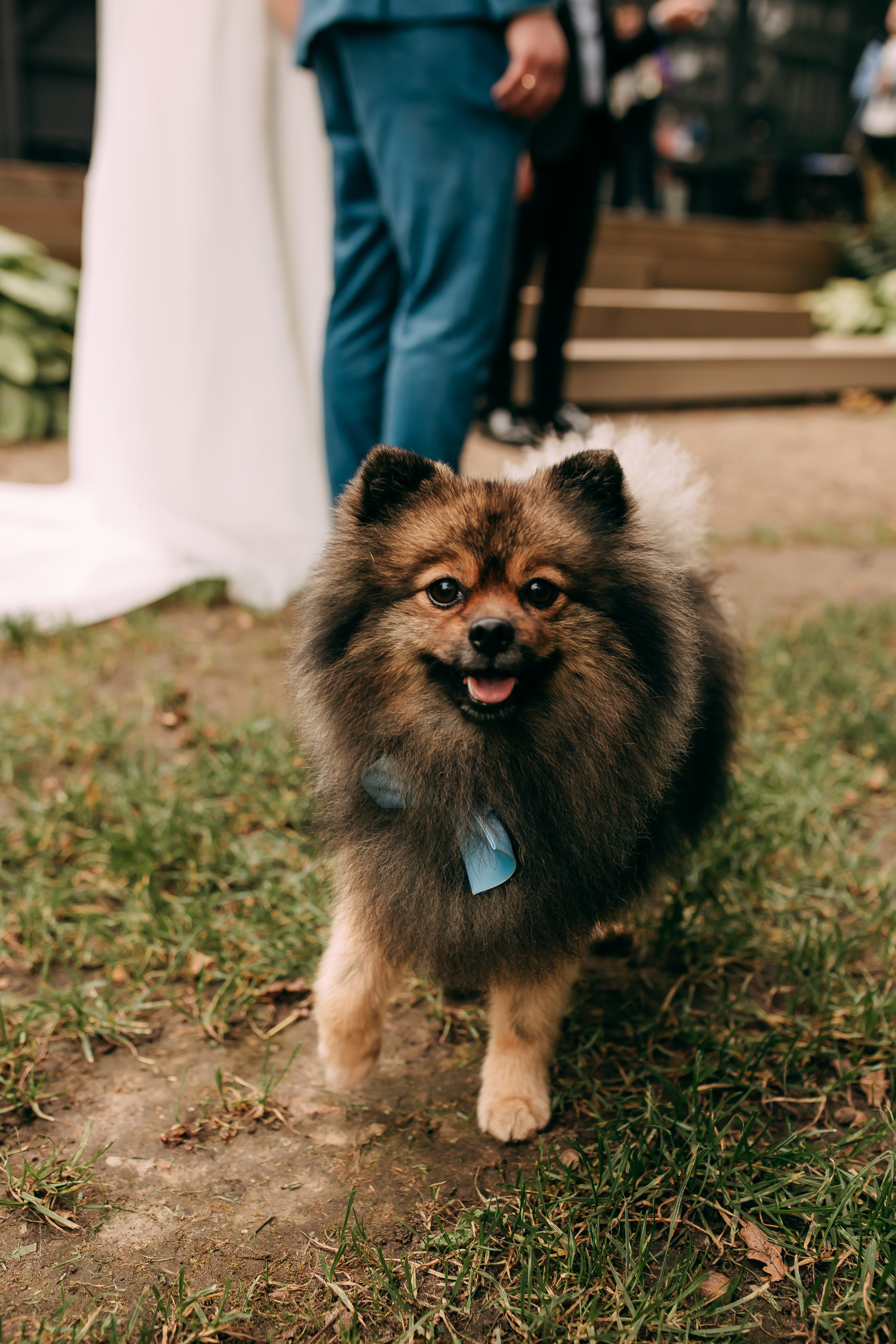 Rebeka & Dāvis. Fotogrāfe Līga Vaidere